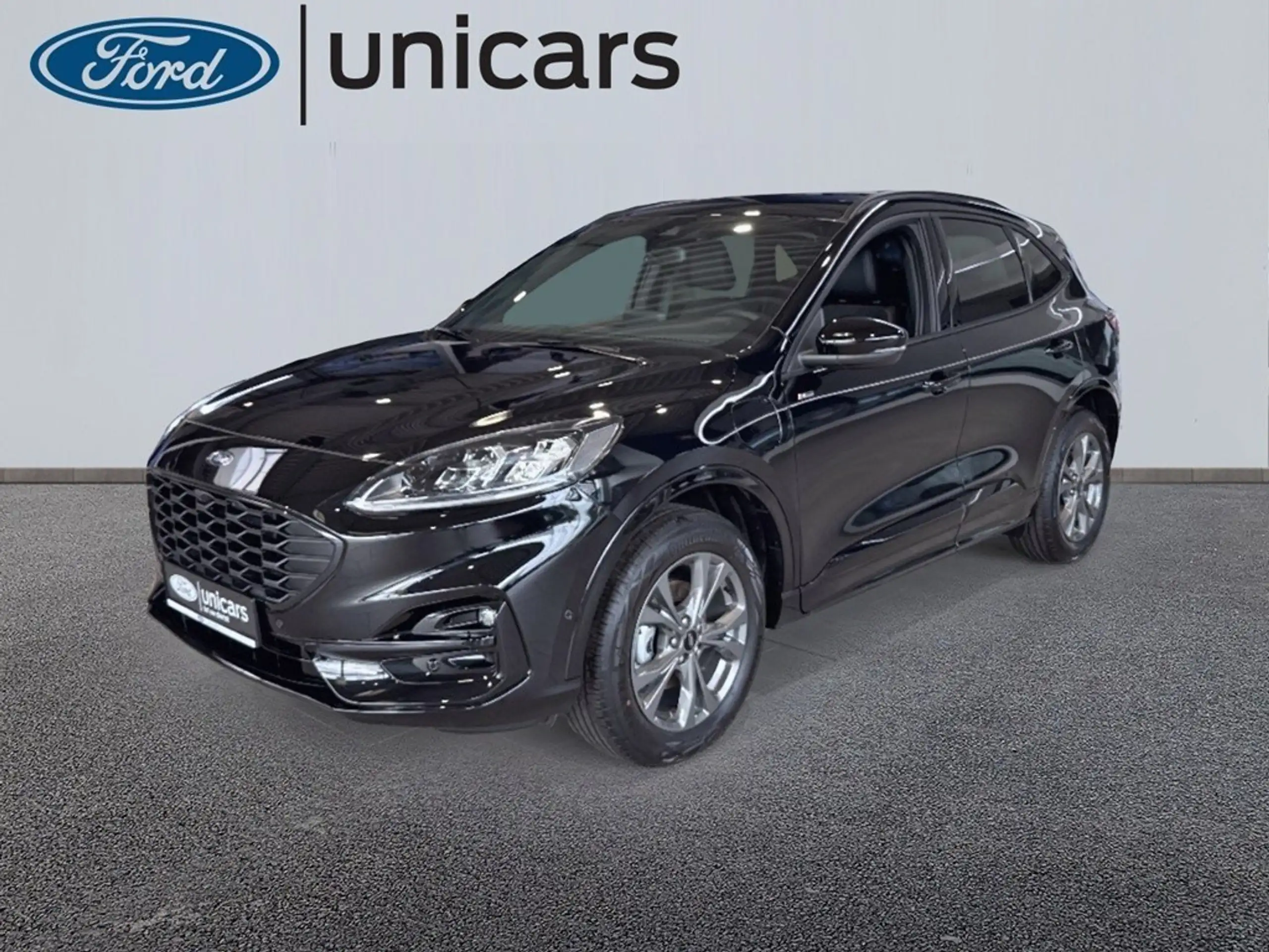 Ford - Kuga