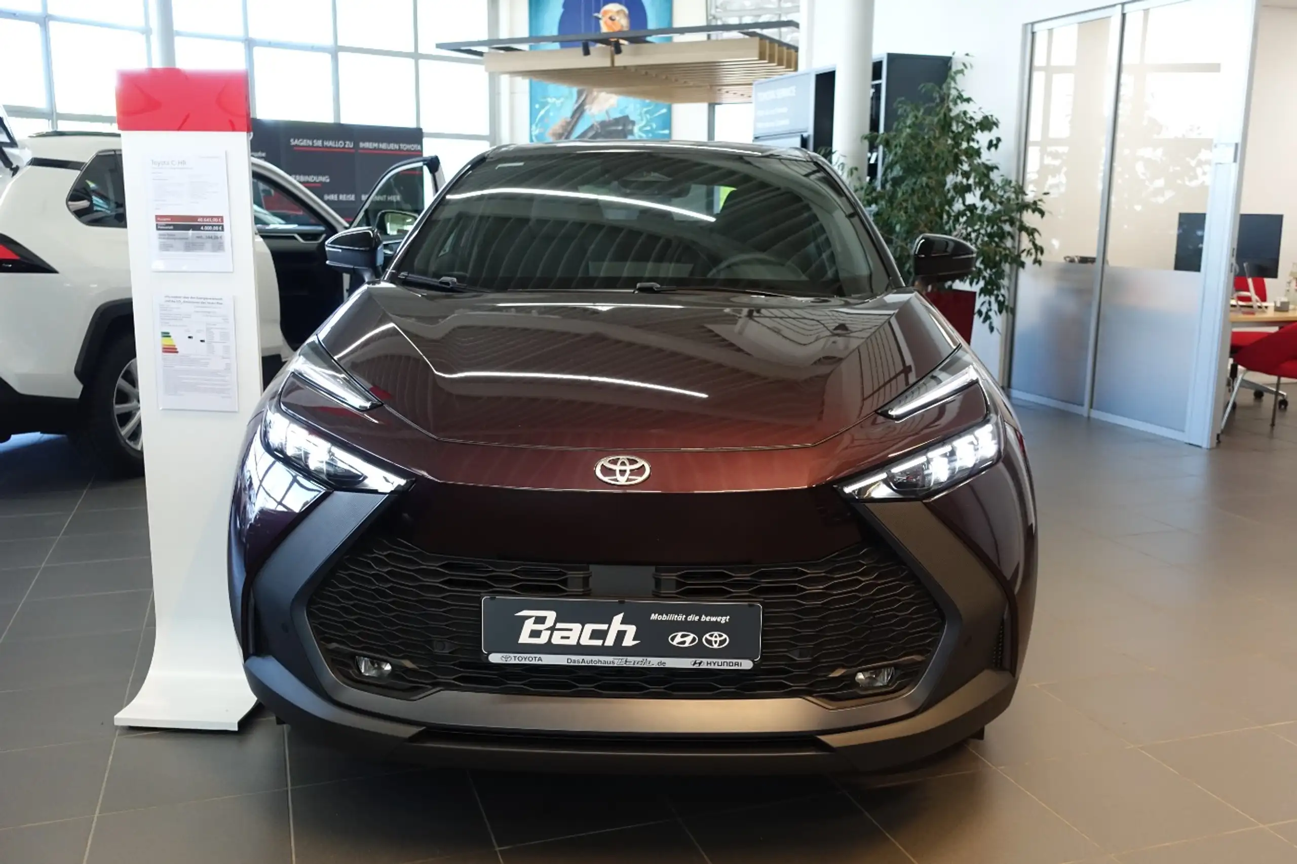 Toyota - C-HR