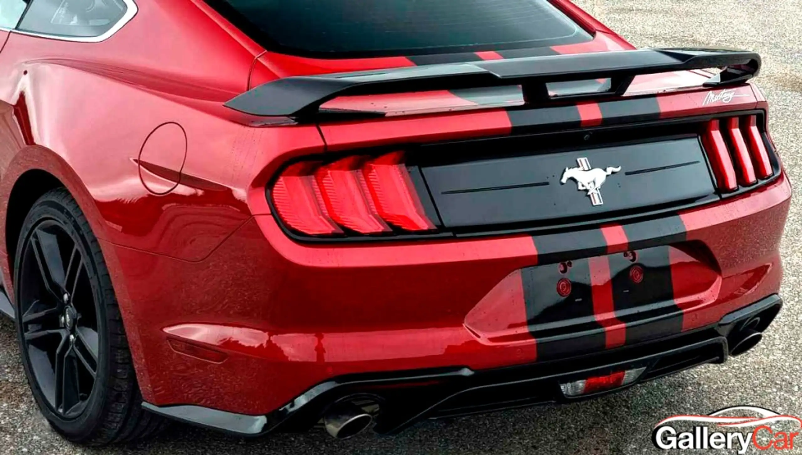 Ford - Mustang