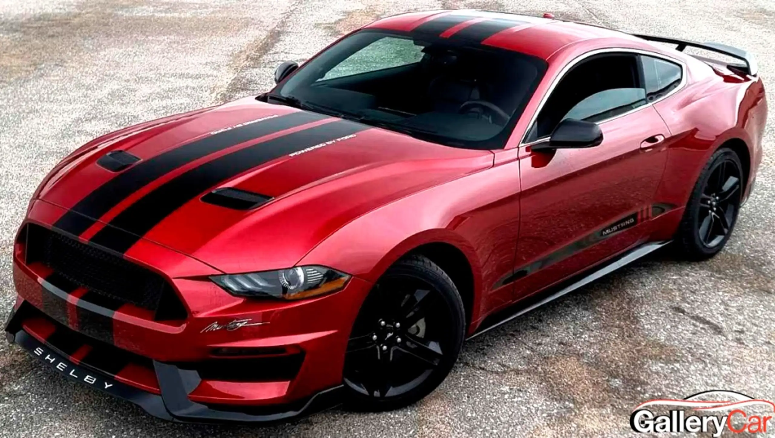 Ford - Mustang