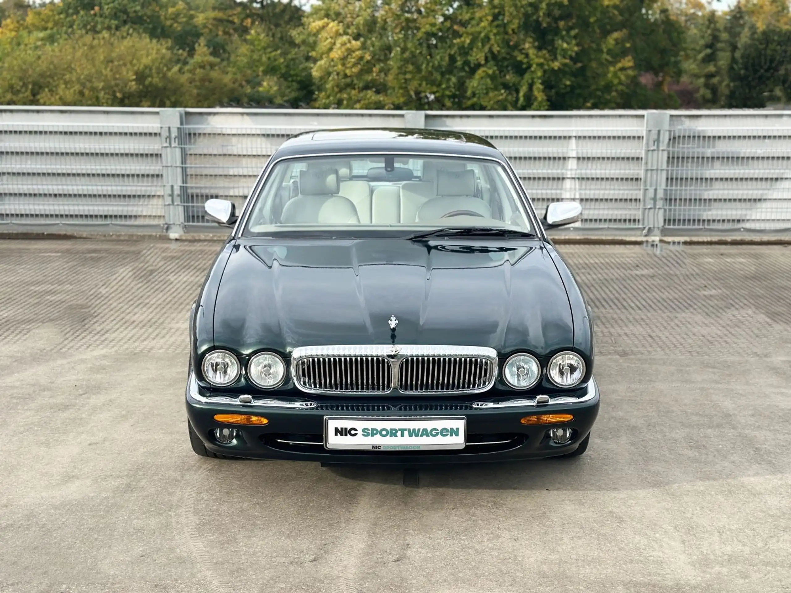 Jaguar - Daimler