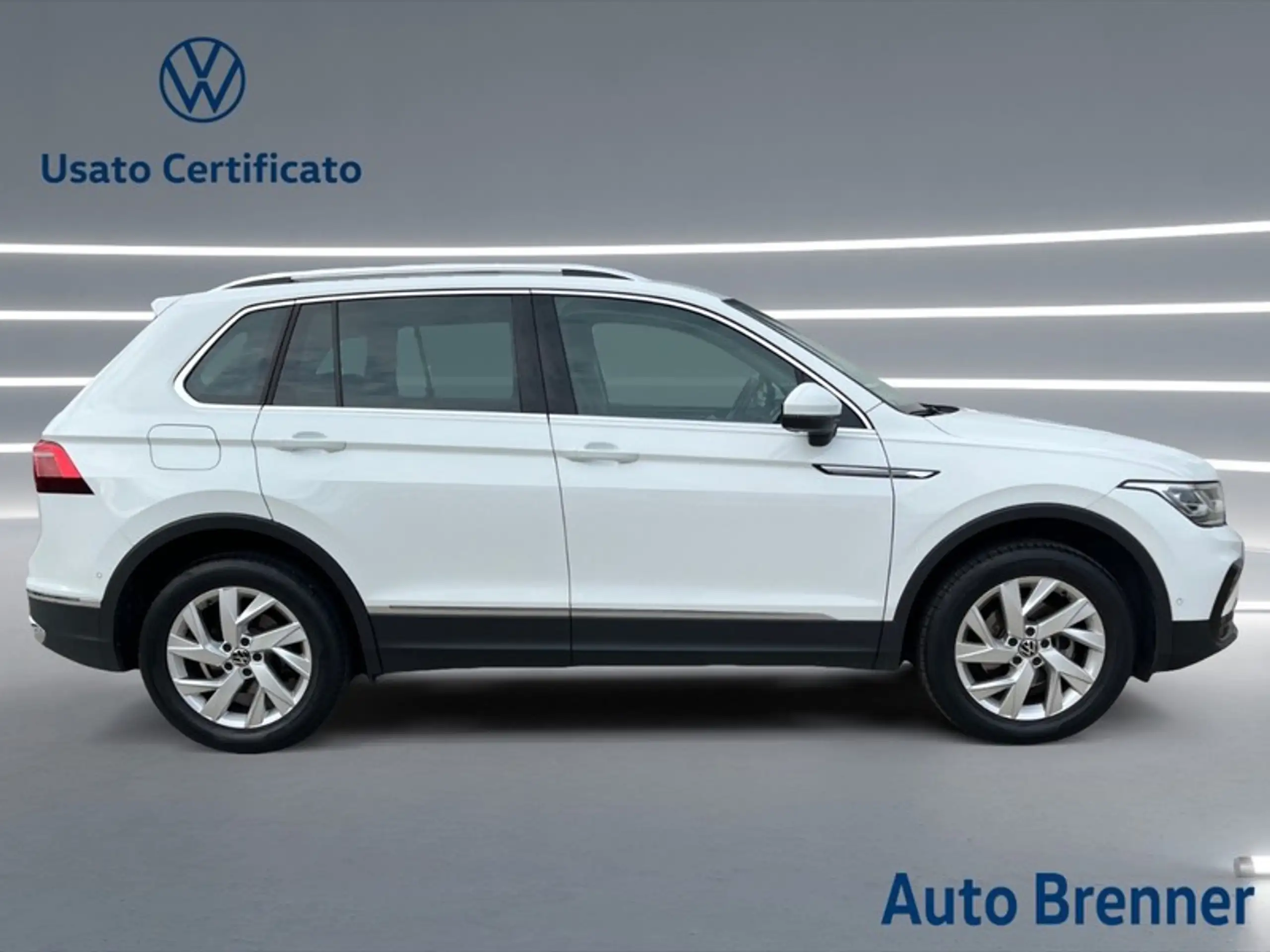 Volkswagen - Tiguan