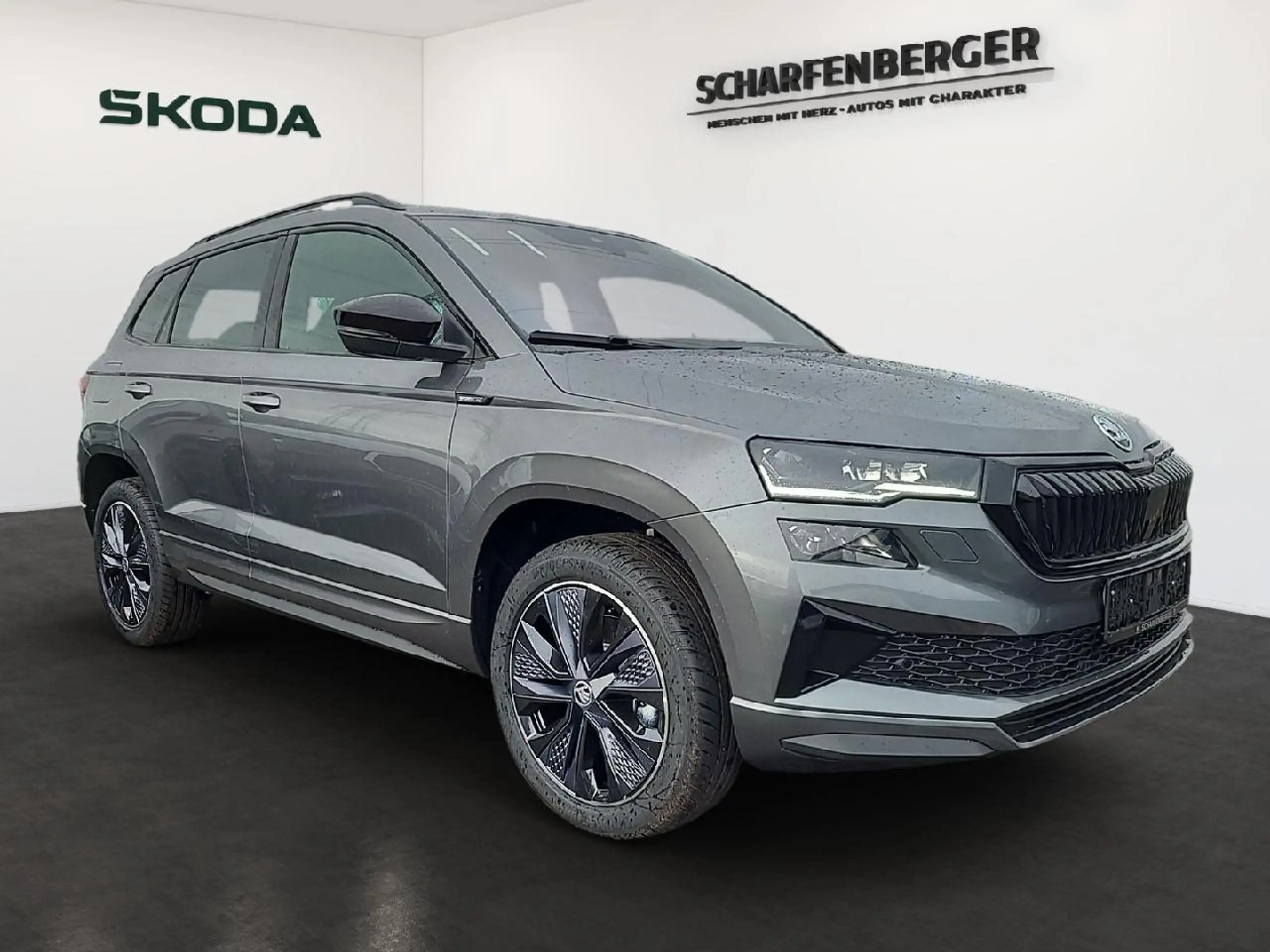 Skoda - Karoq