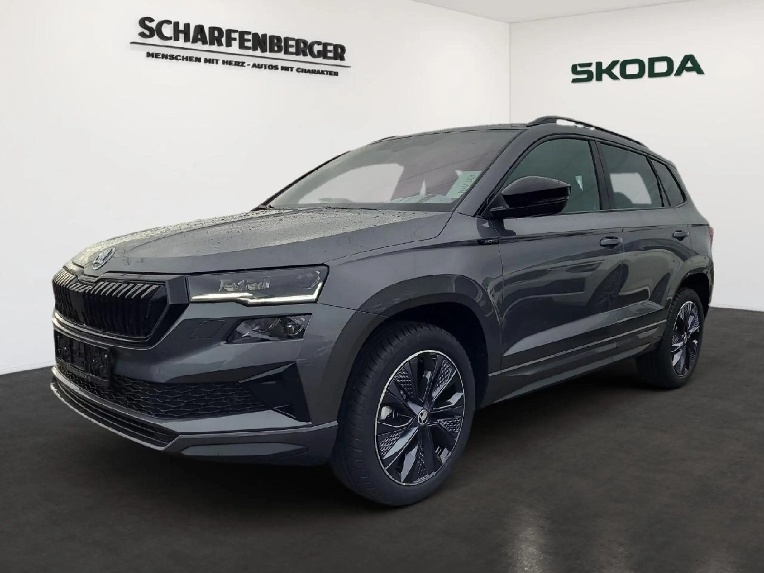 Skoda - Karoq