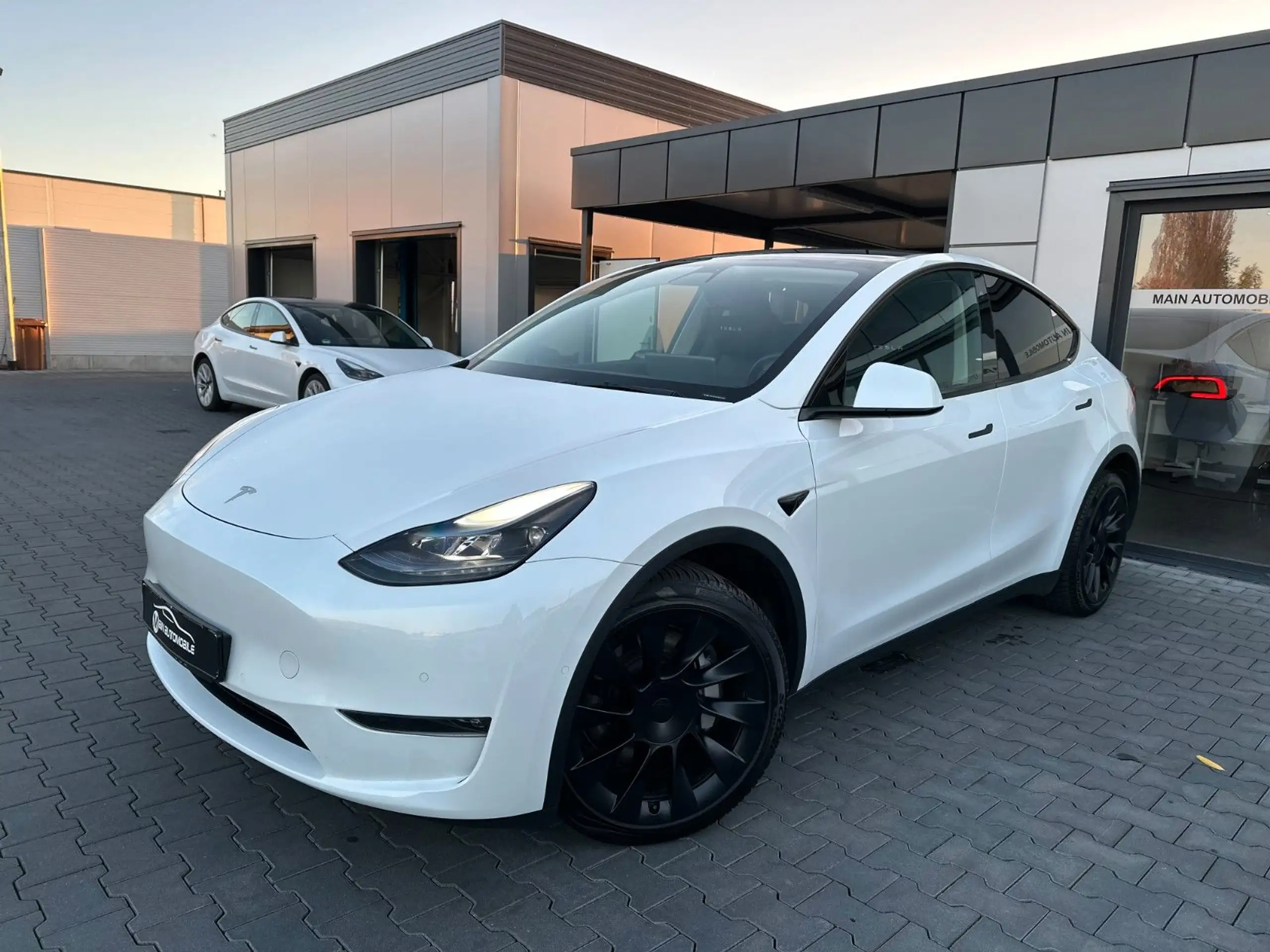 Tesla - Model Y