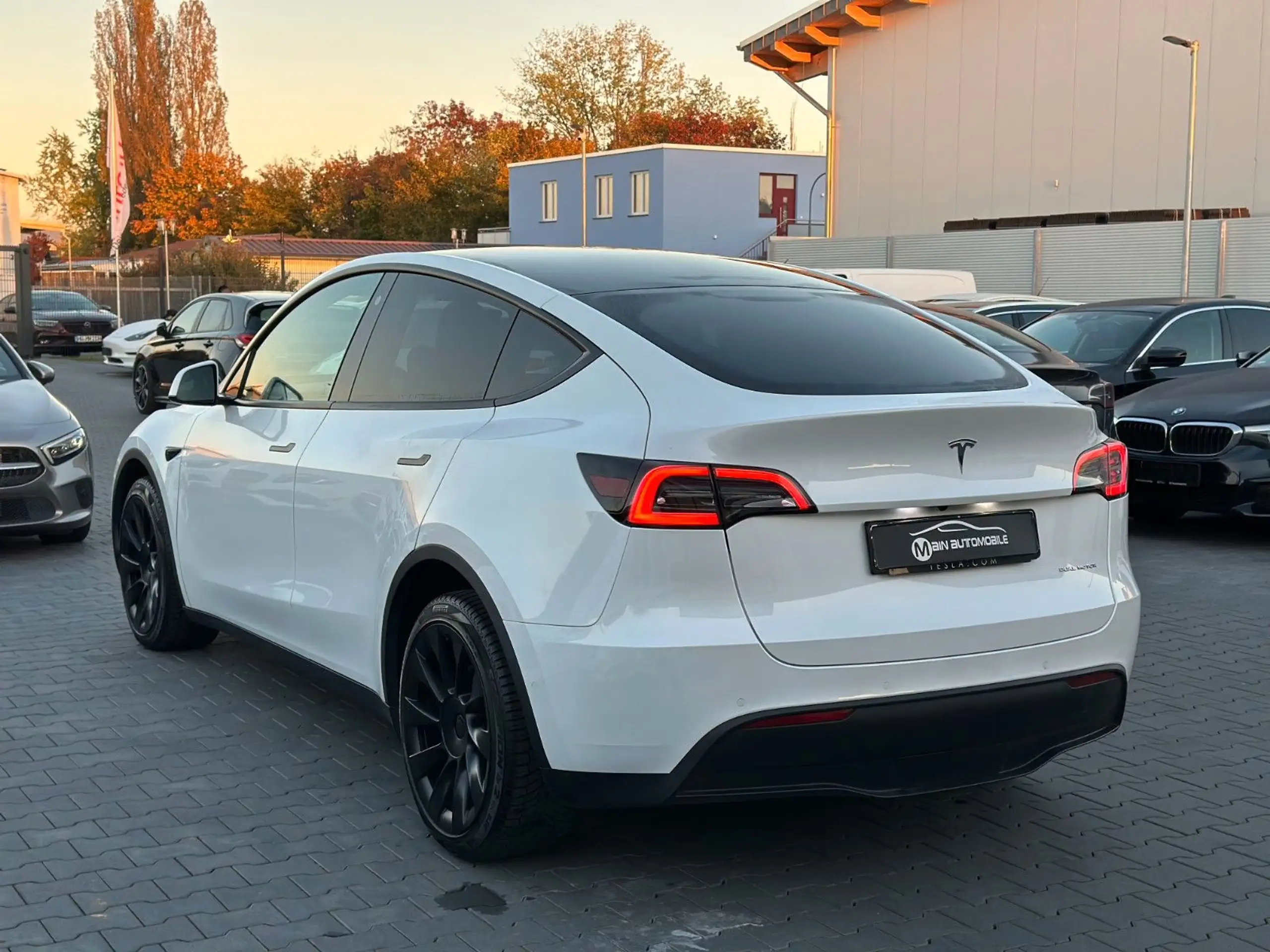 Tesla - Model Y