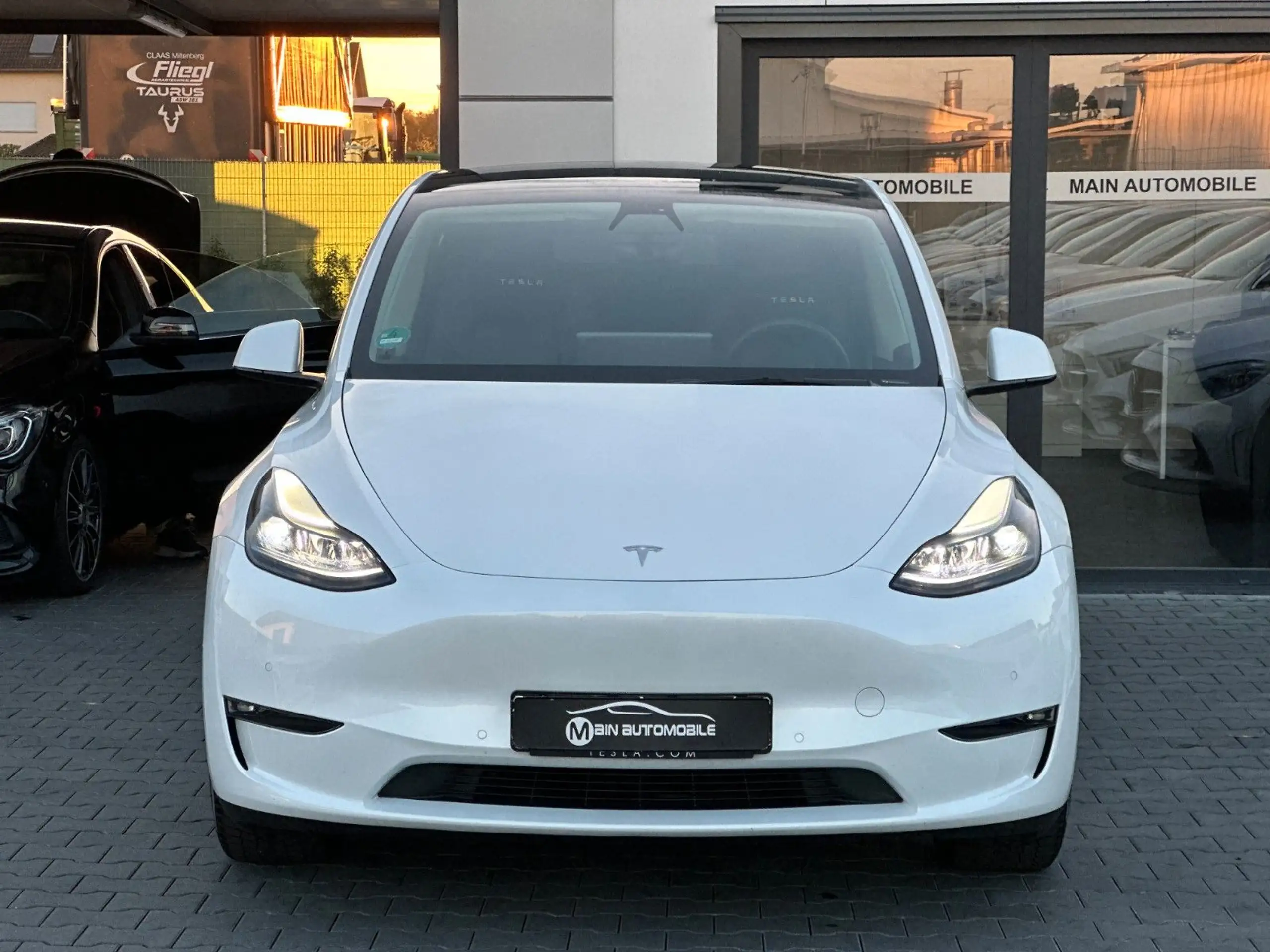 Tesla - Model Y