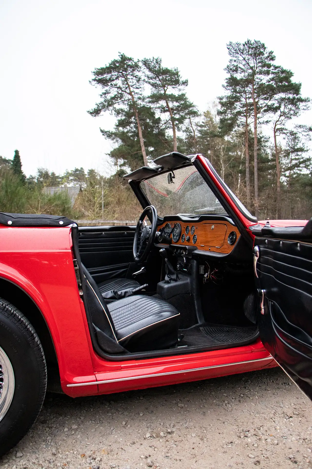 Austin-Healey - Others