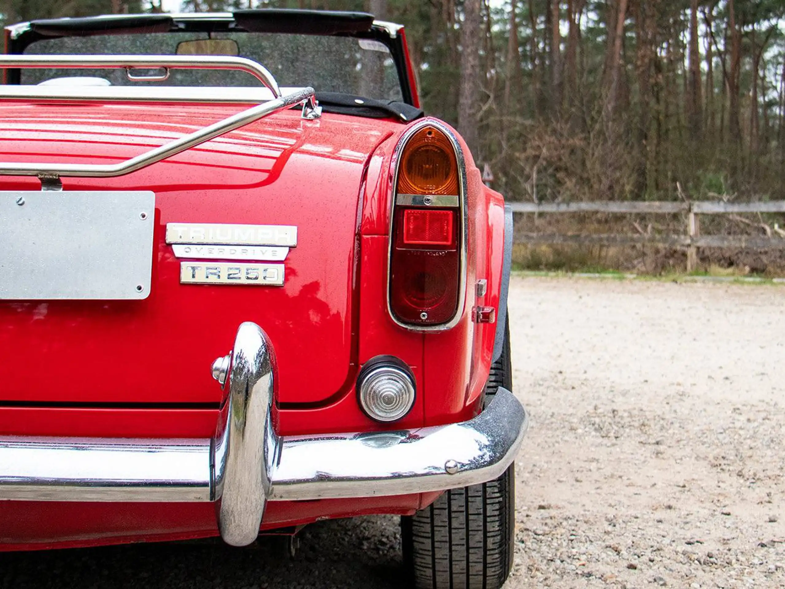 Austin-Healey - Others