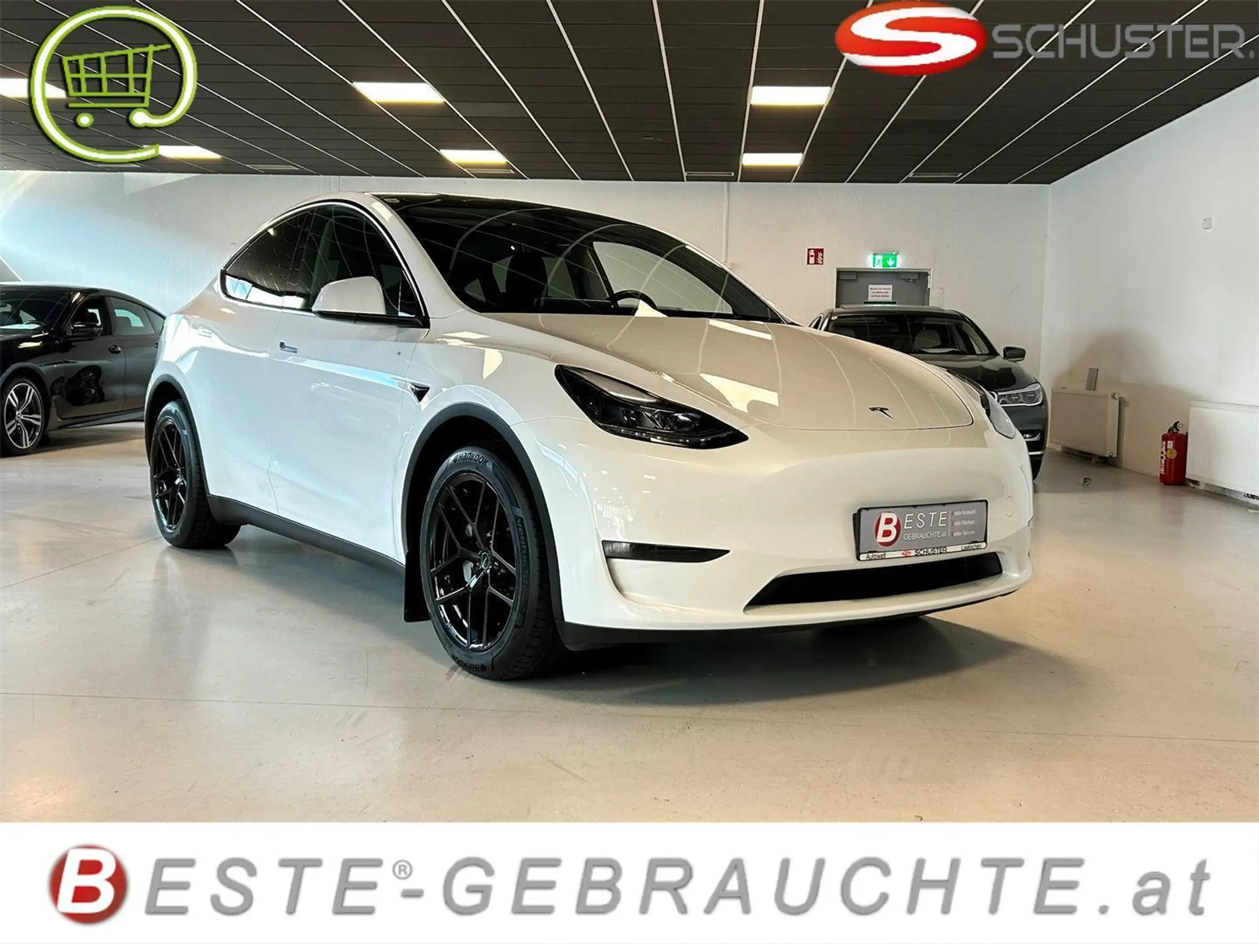 Tesla - Model Y