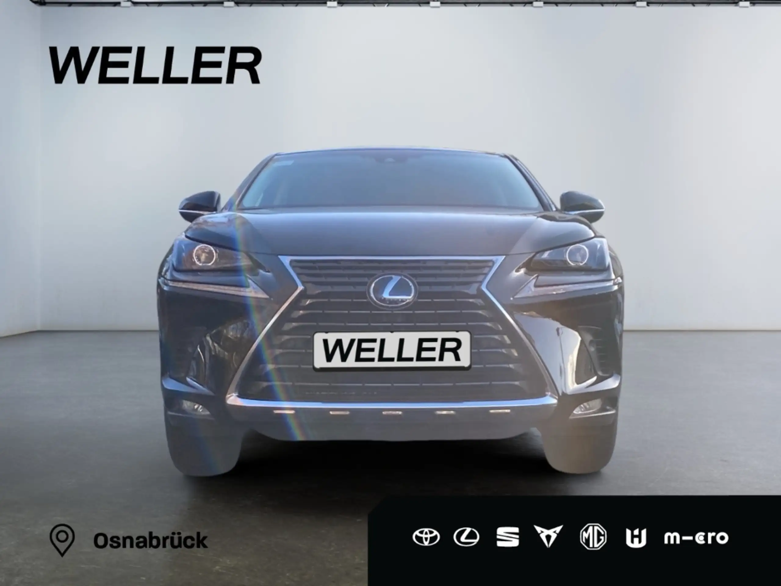 Lexus - NX 300h