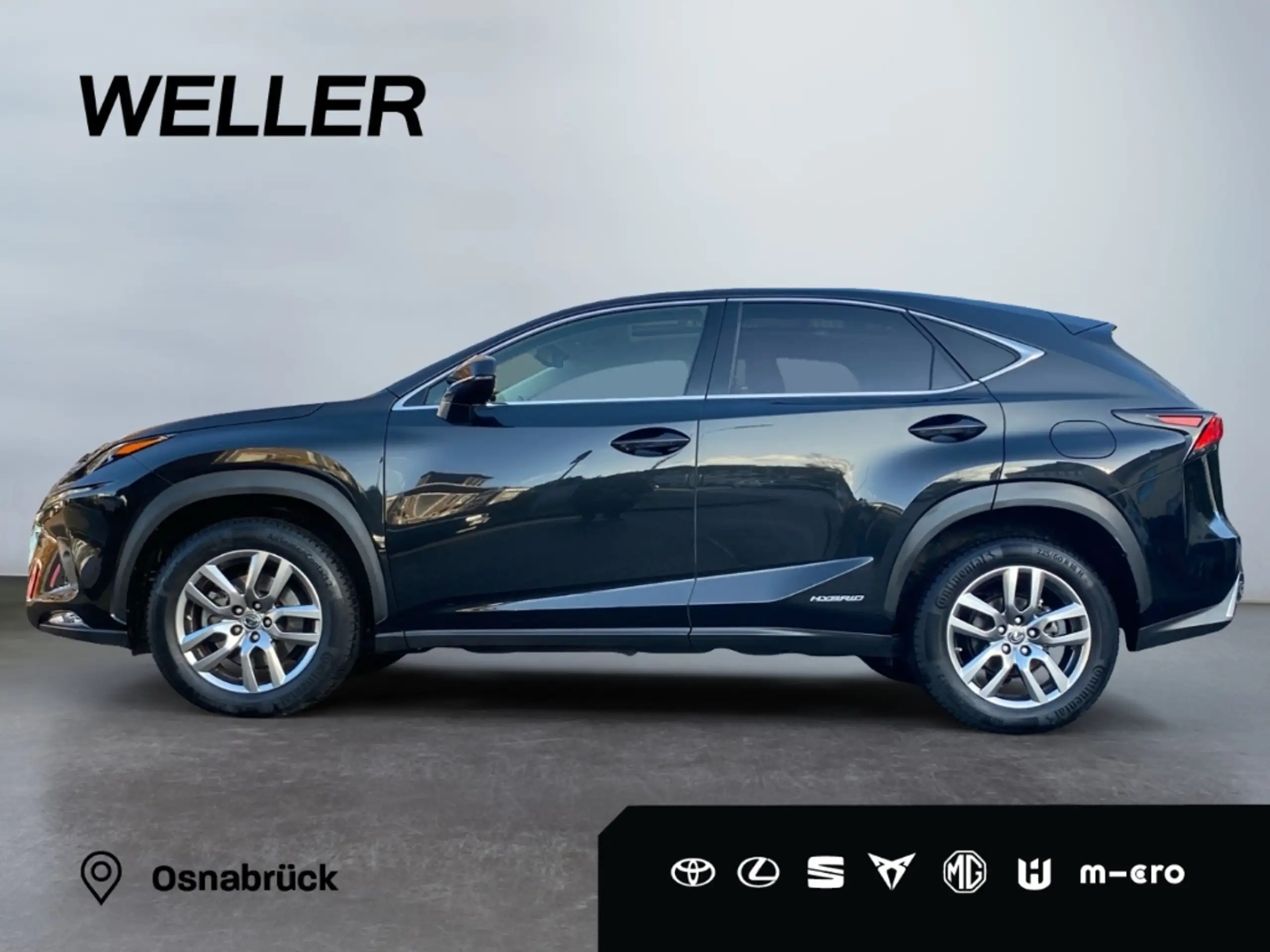 Lexus - NX 300h