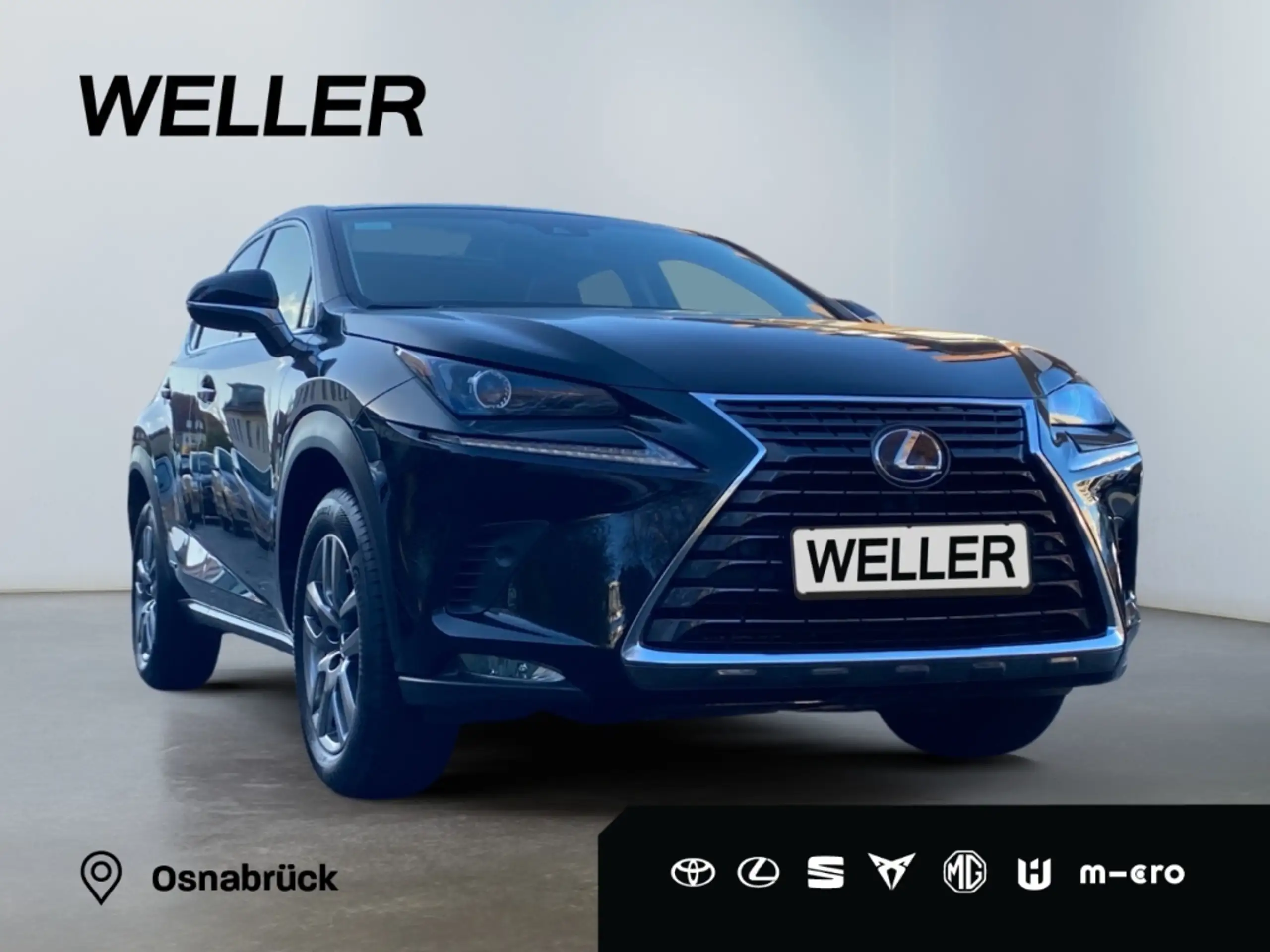 Lexus - NX 300h