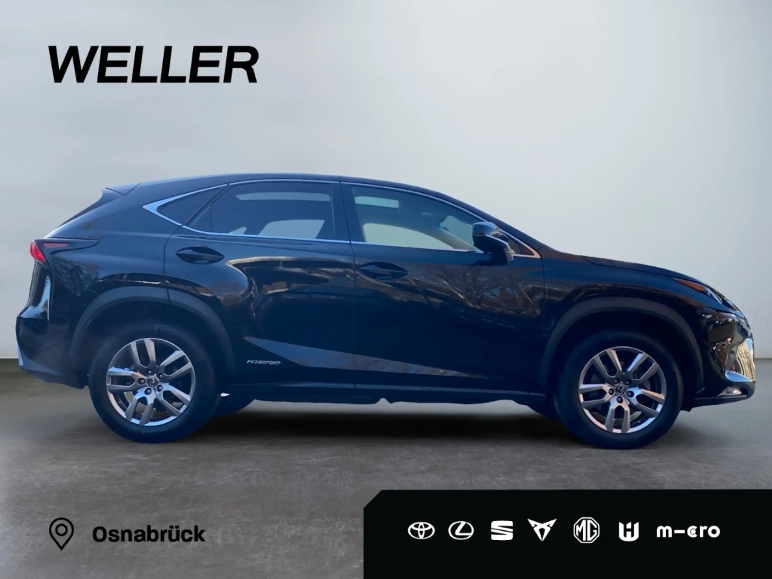 Lexus - NX 300h