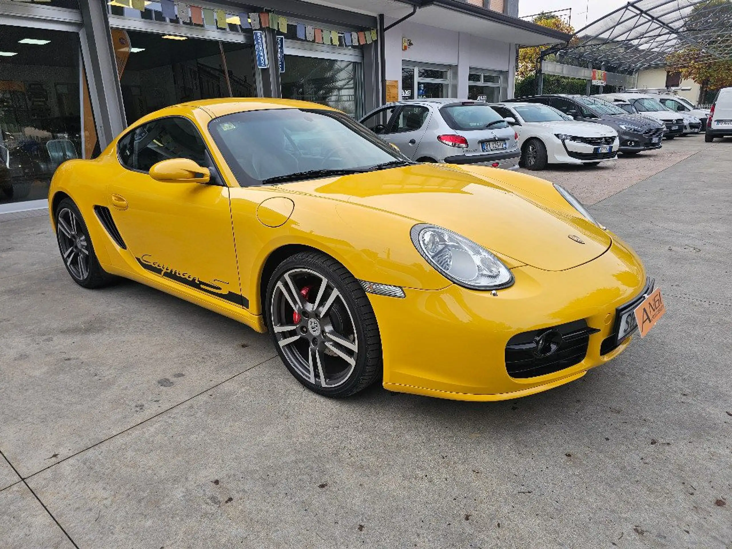 Porsche - Cayman