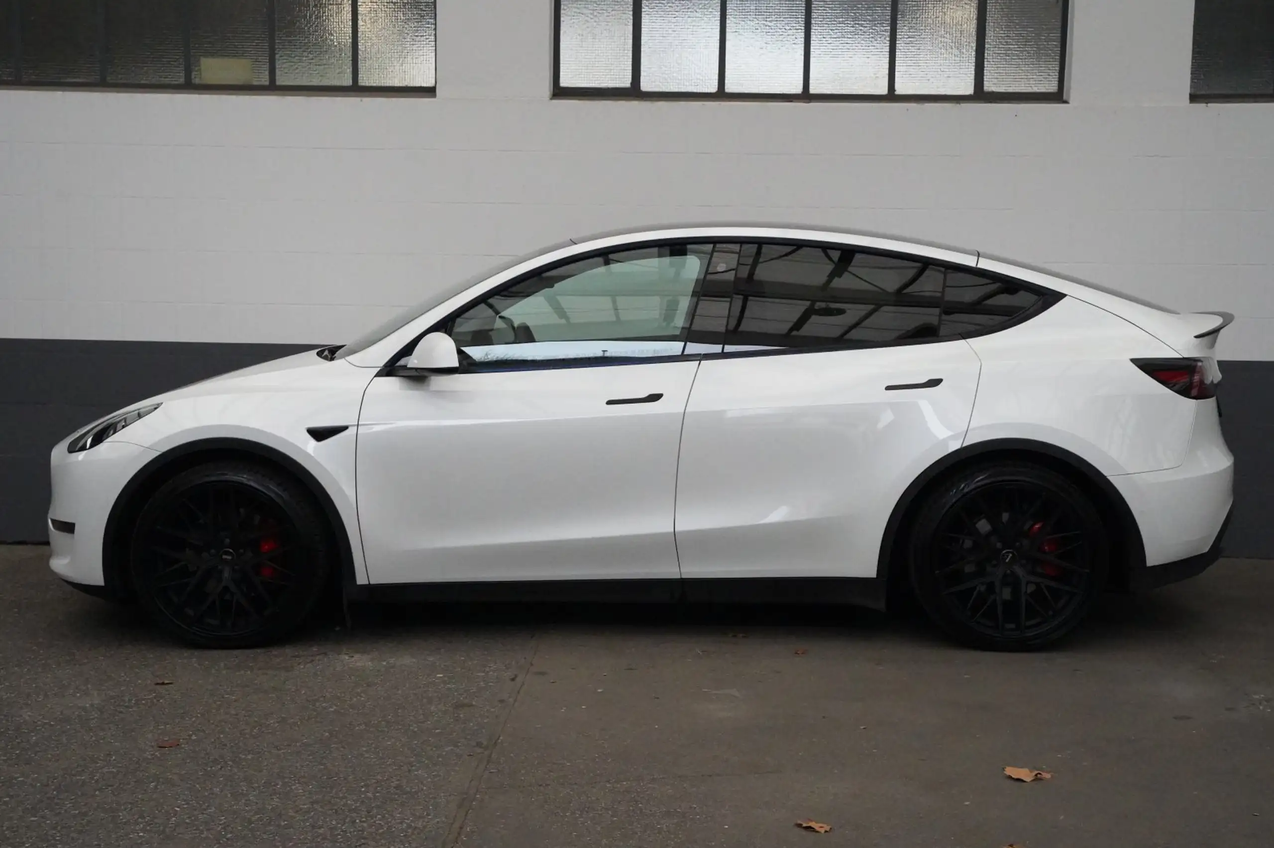 Tesla - Model Y