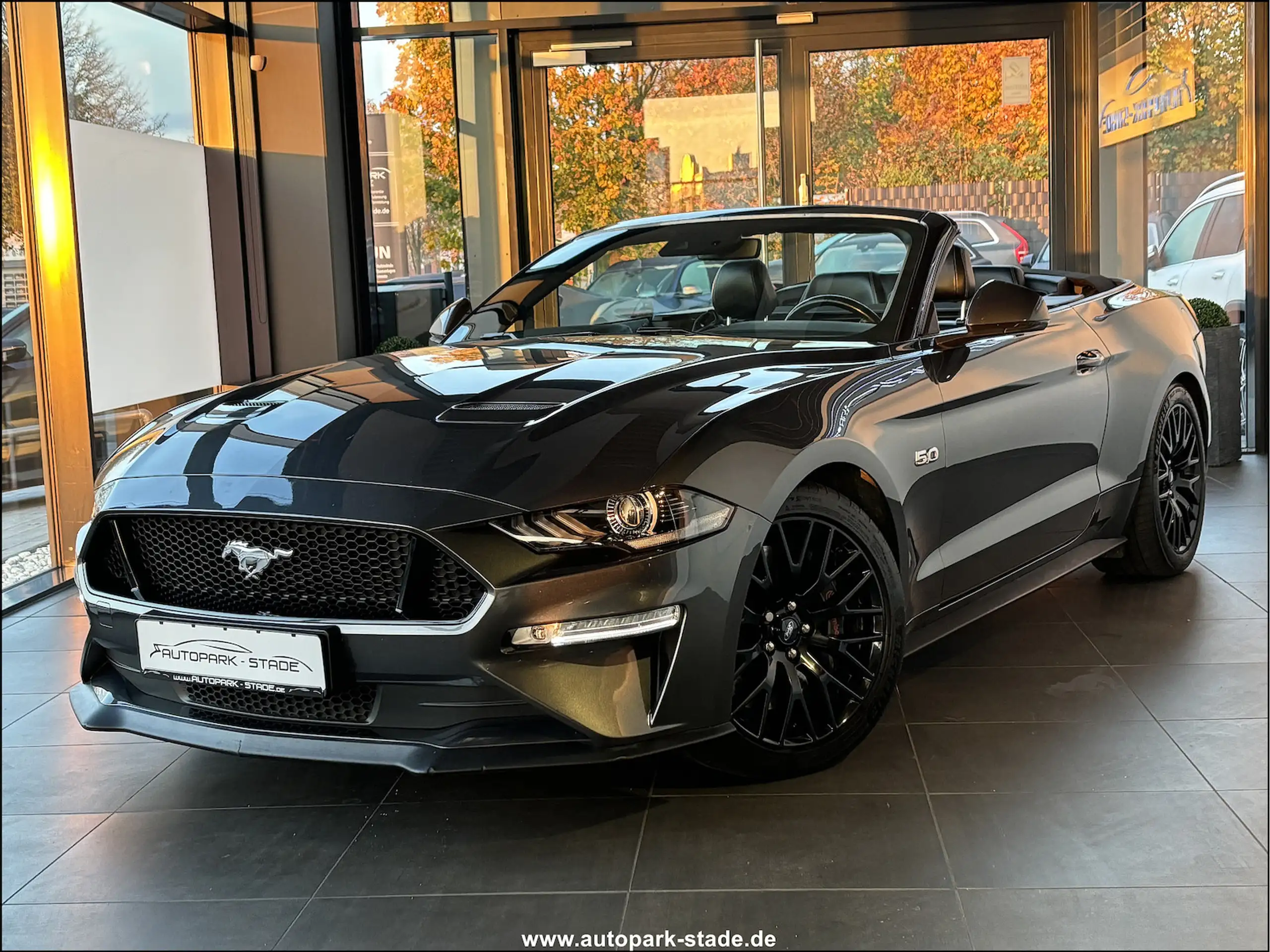 Ford - Mustang