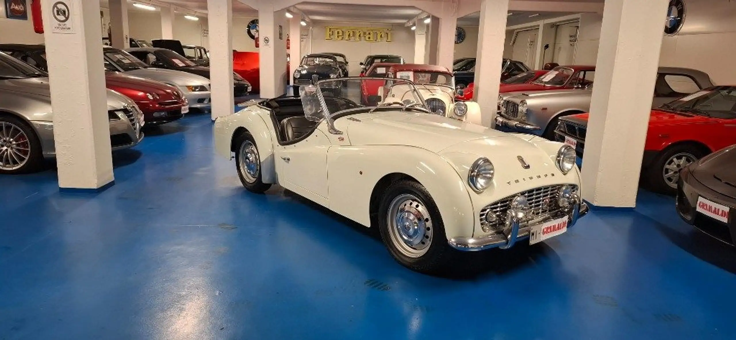 Triumph - TR3