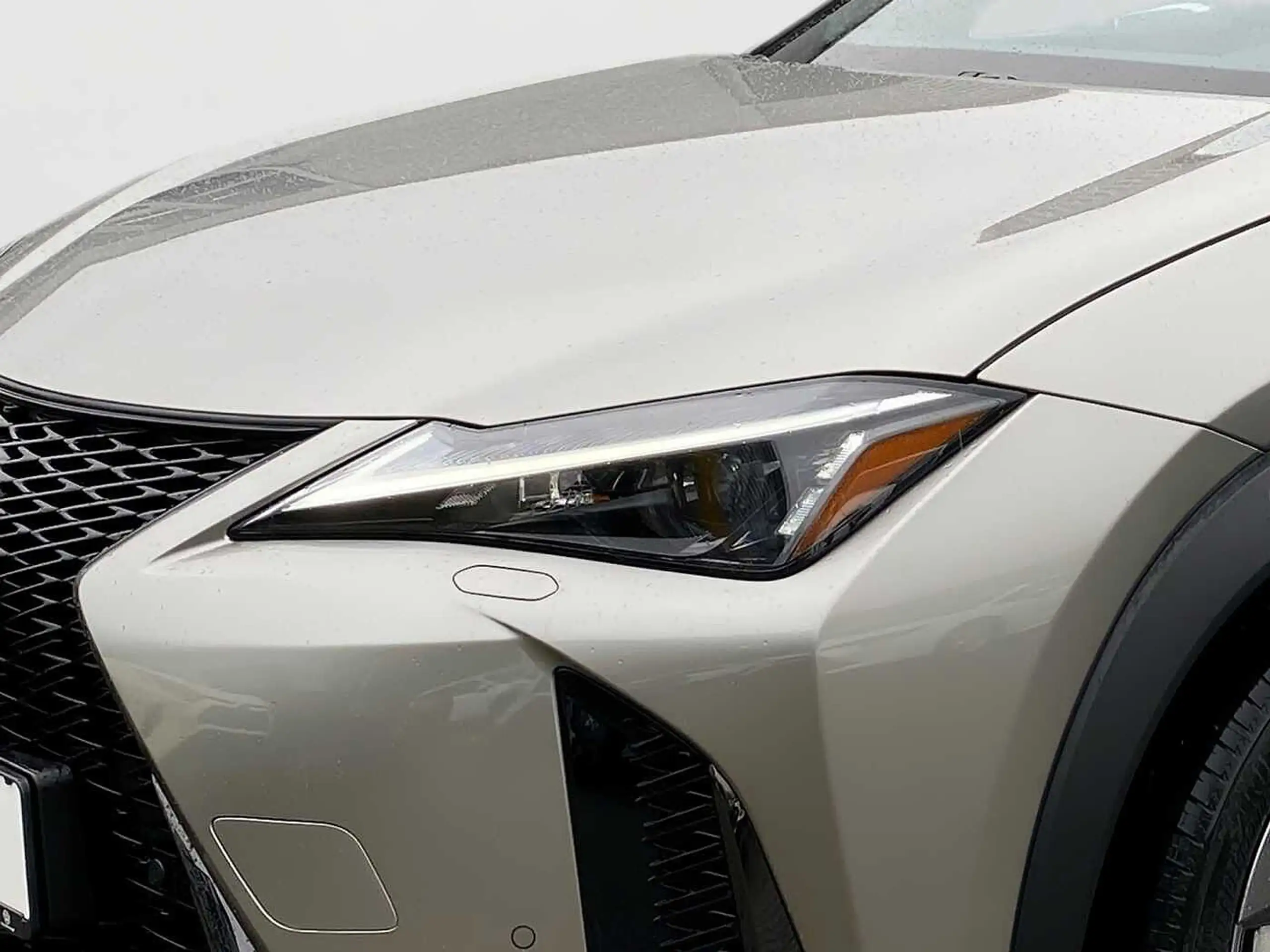 Lexus - UX 300h