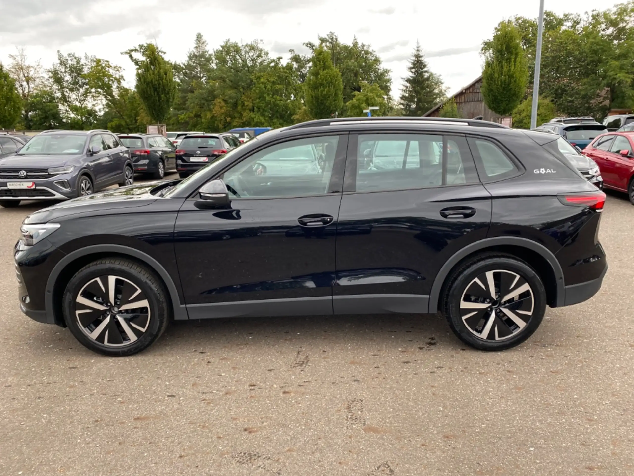 Volkswagen - Tiguan