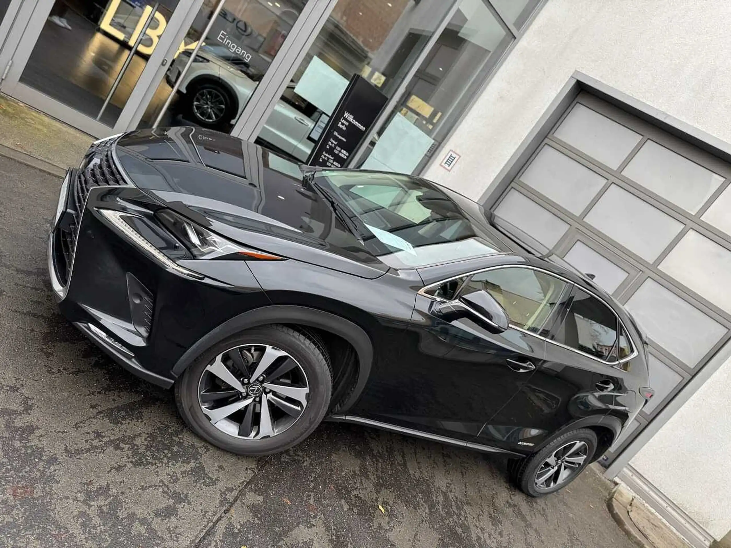 Lexus - NX 300h