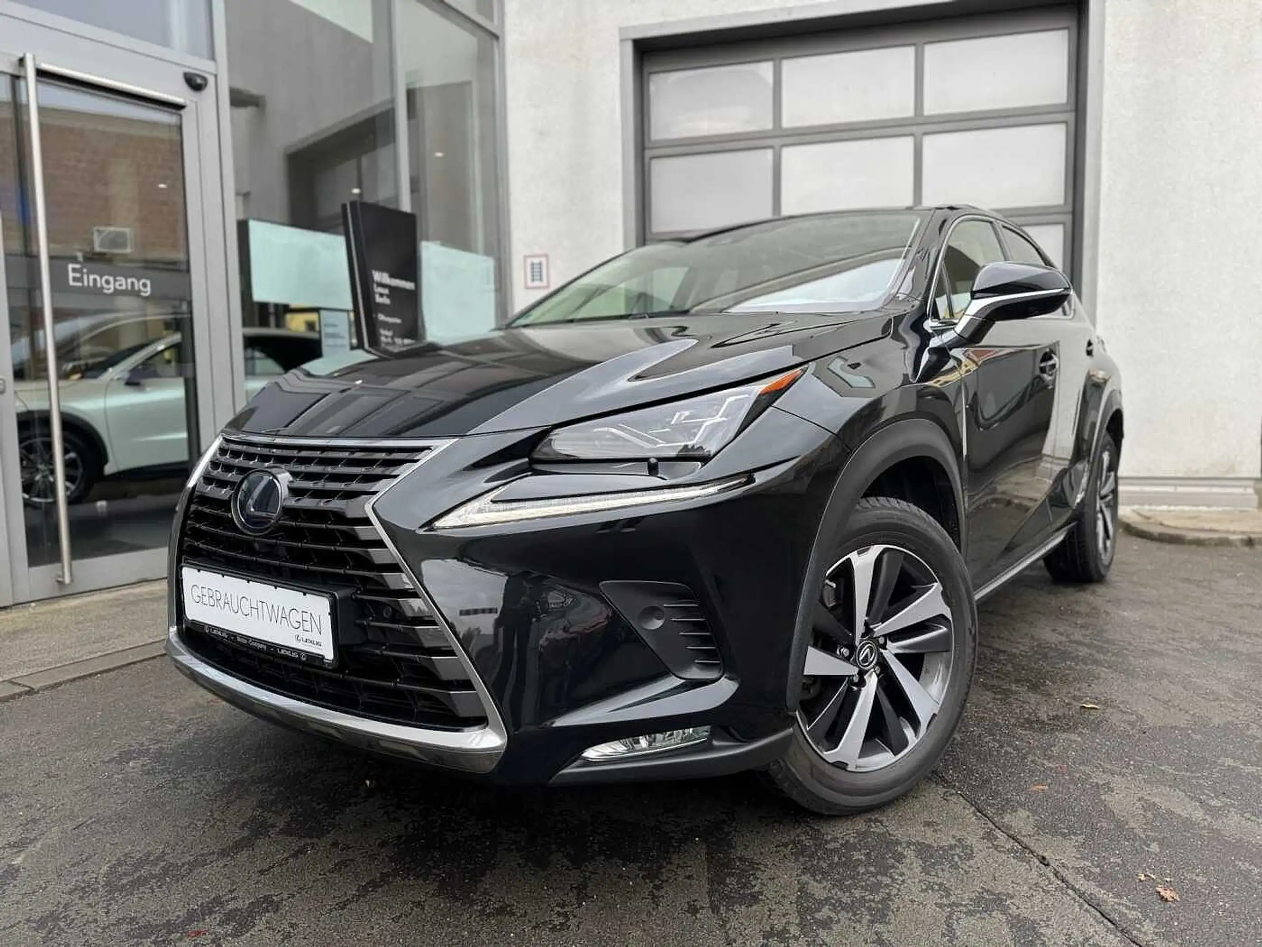 Lexus - NX 300h