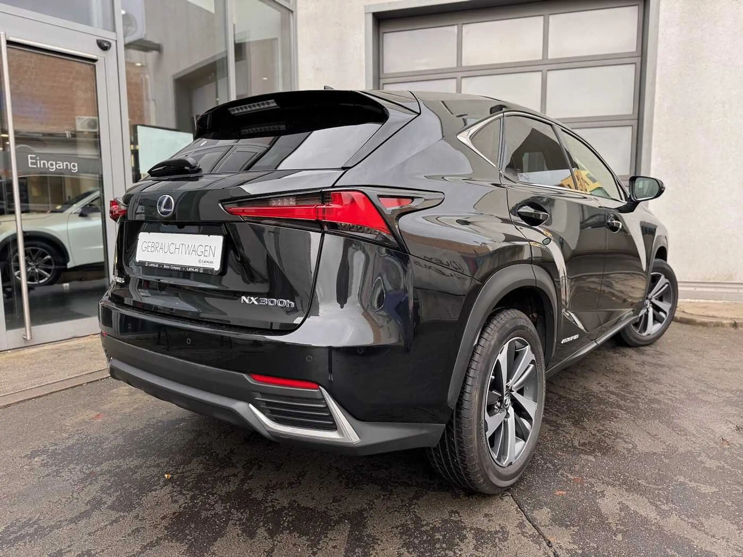 Lexus - NX 300h