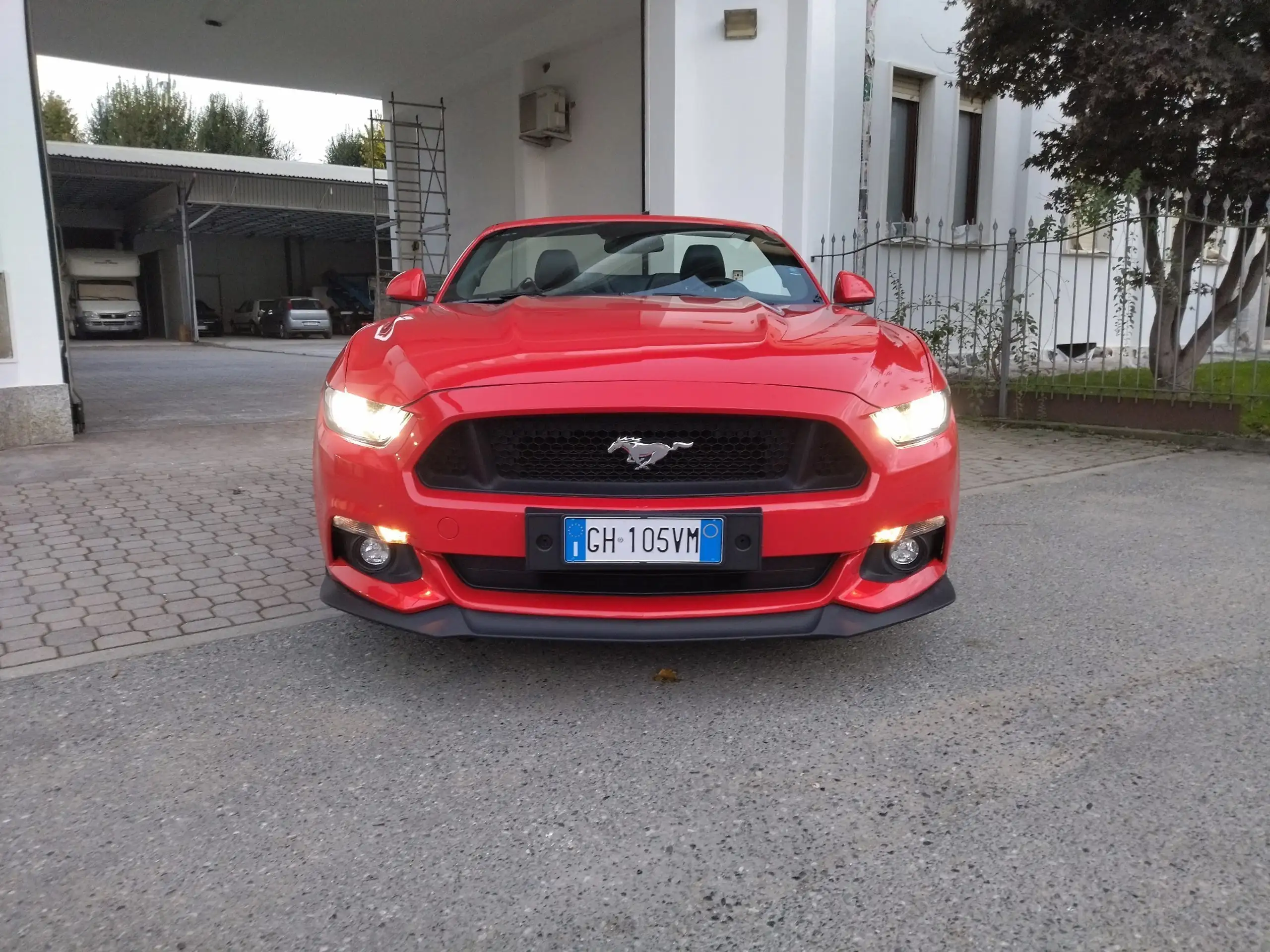 Ford - Mustang