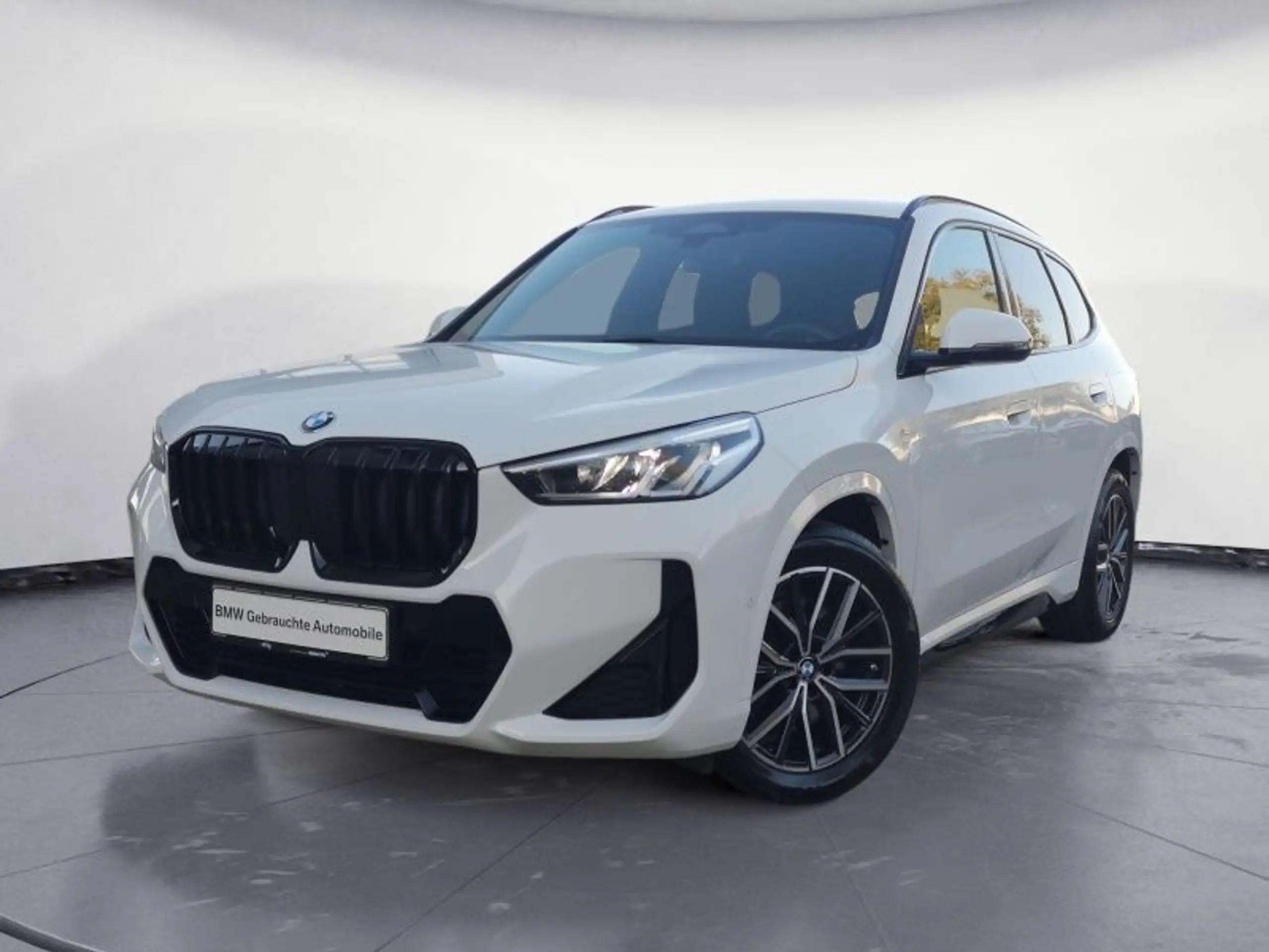 BMW - X1