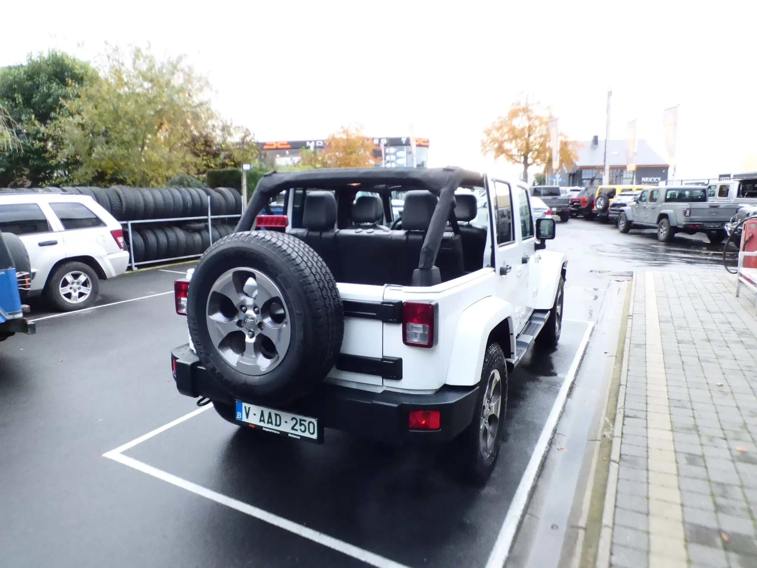 Jeep - Wrangler