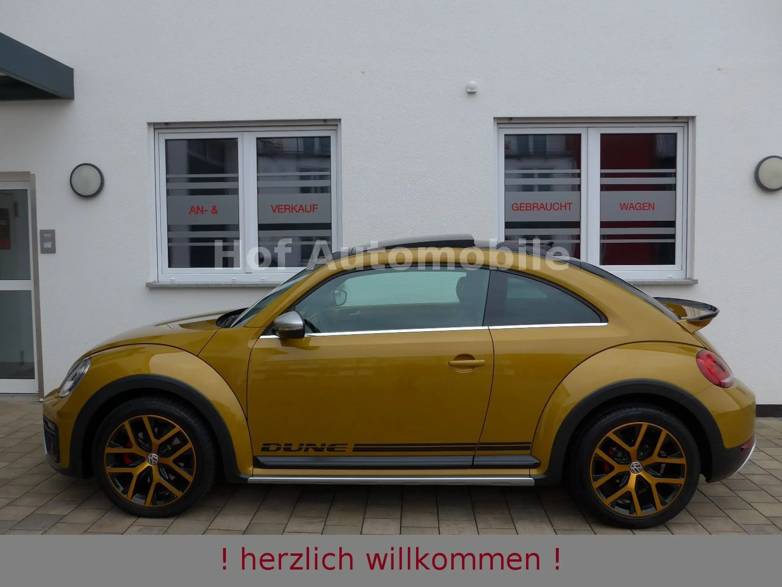 Volkswagen - Beetle