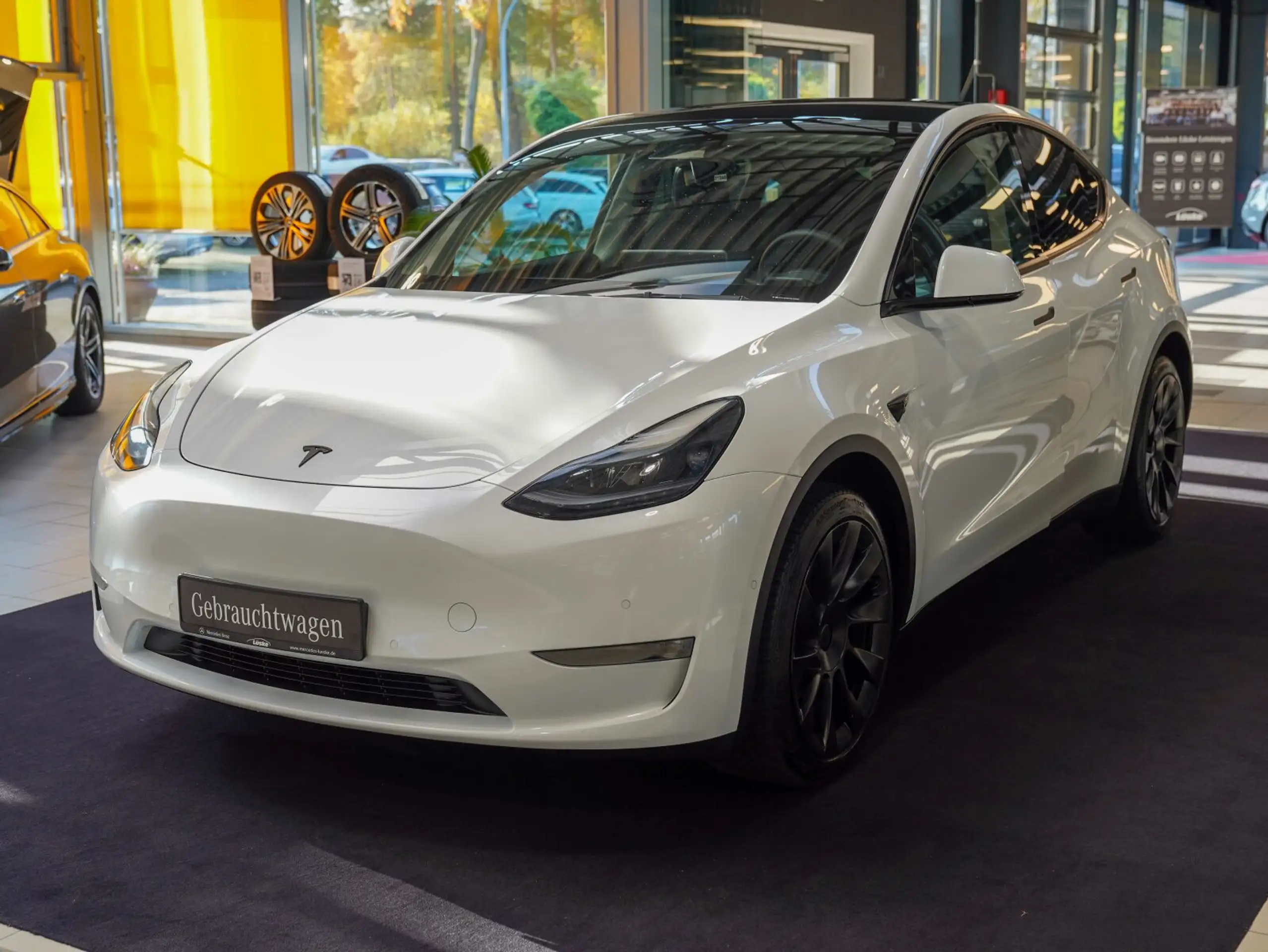 Tesla - Model Y