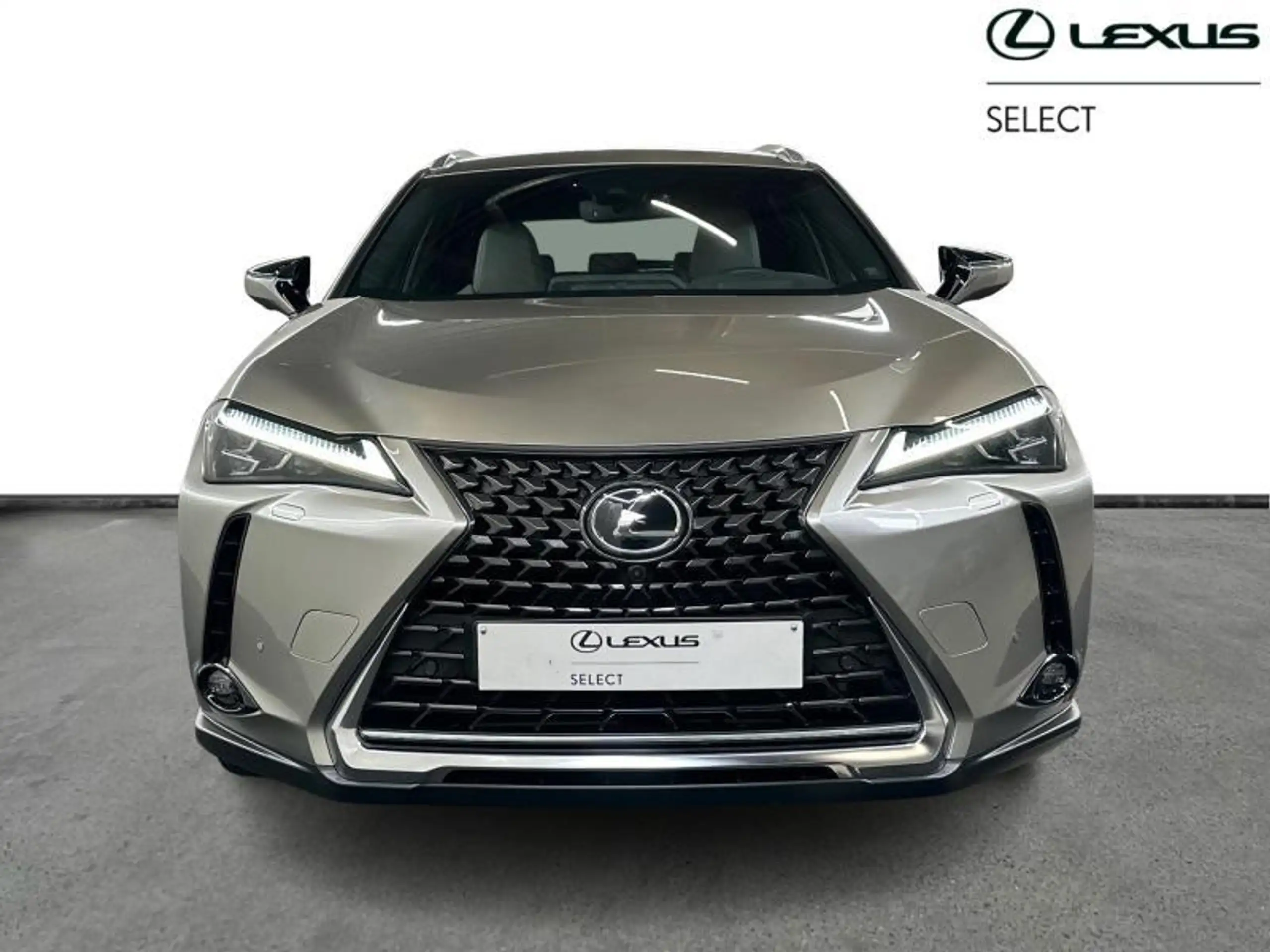 Lexus - UX 250h