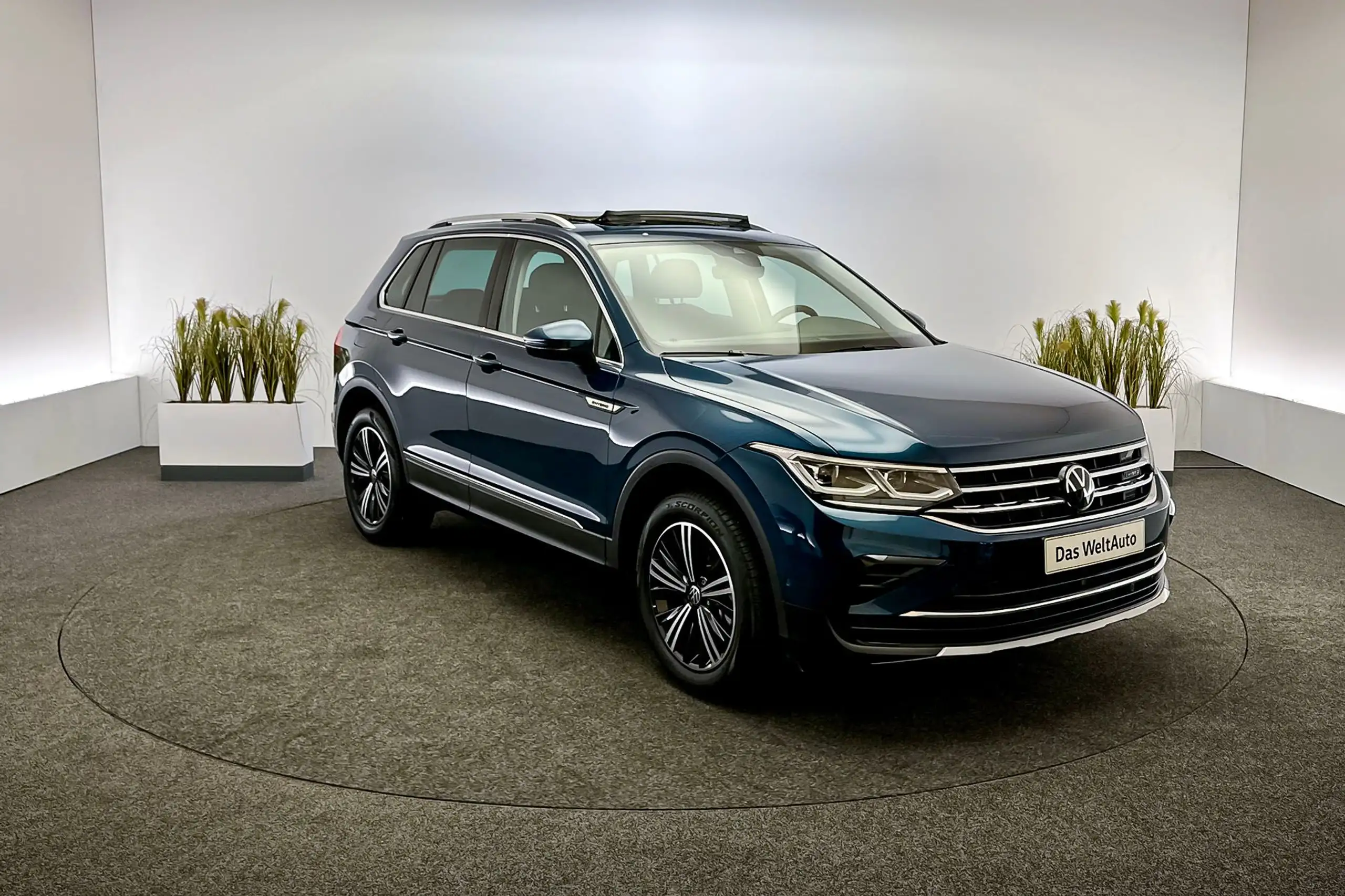 Volkswagen - Tiguan