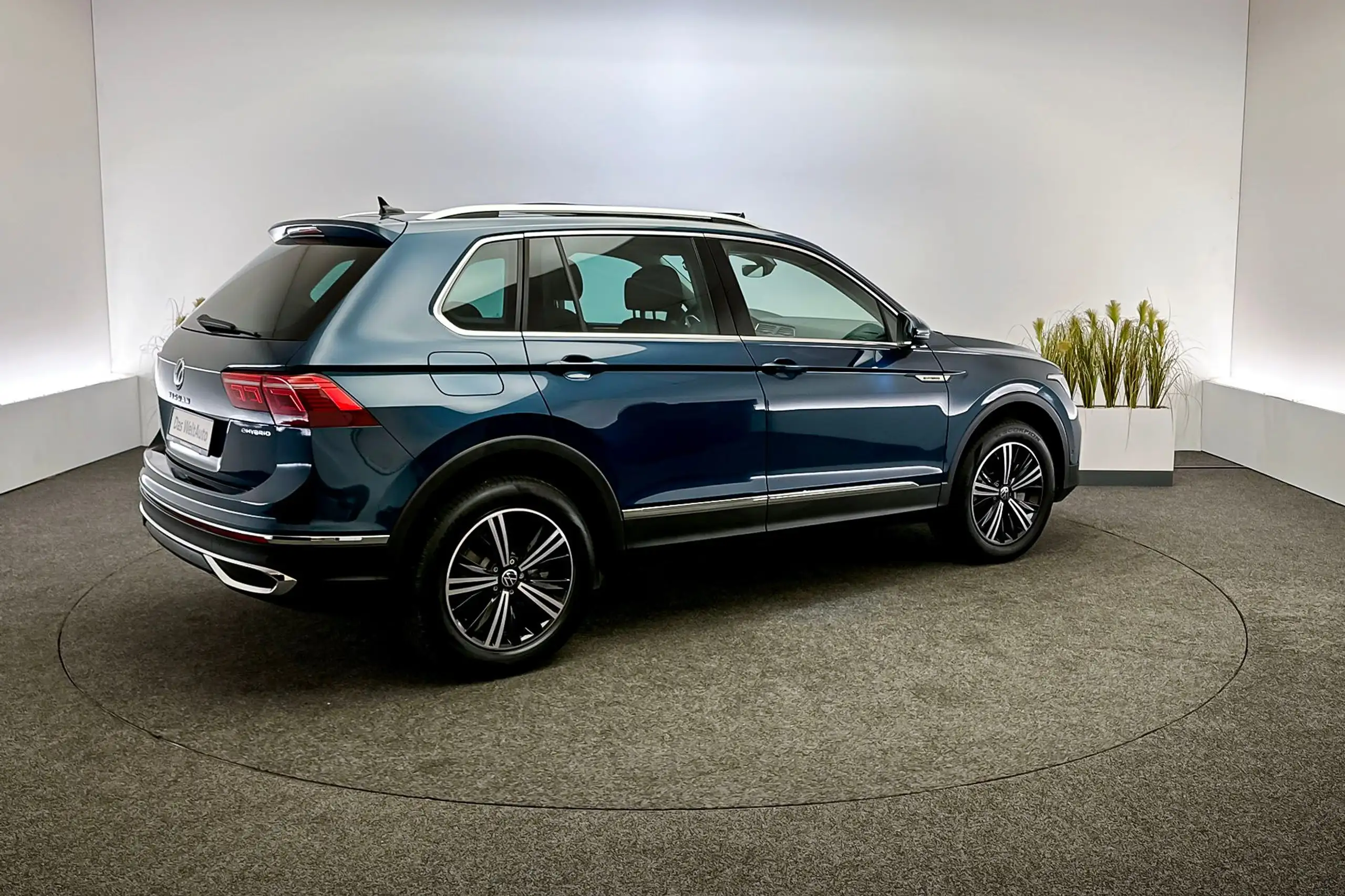 Volkswagen - Tiguan