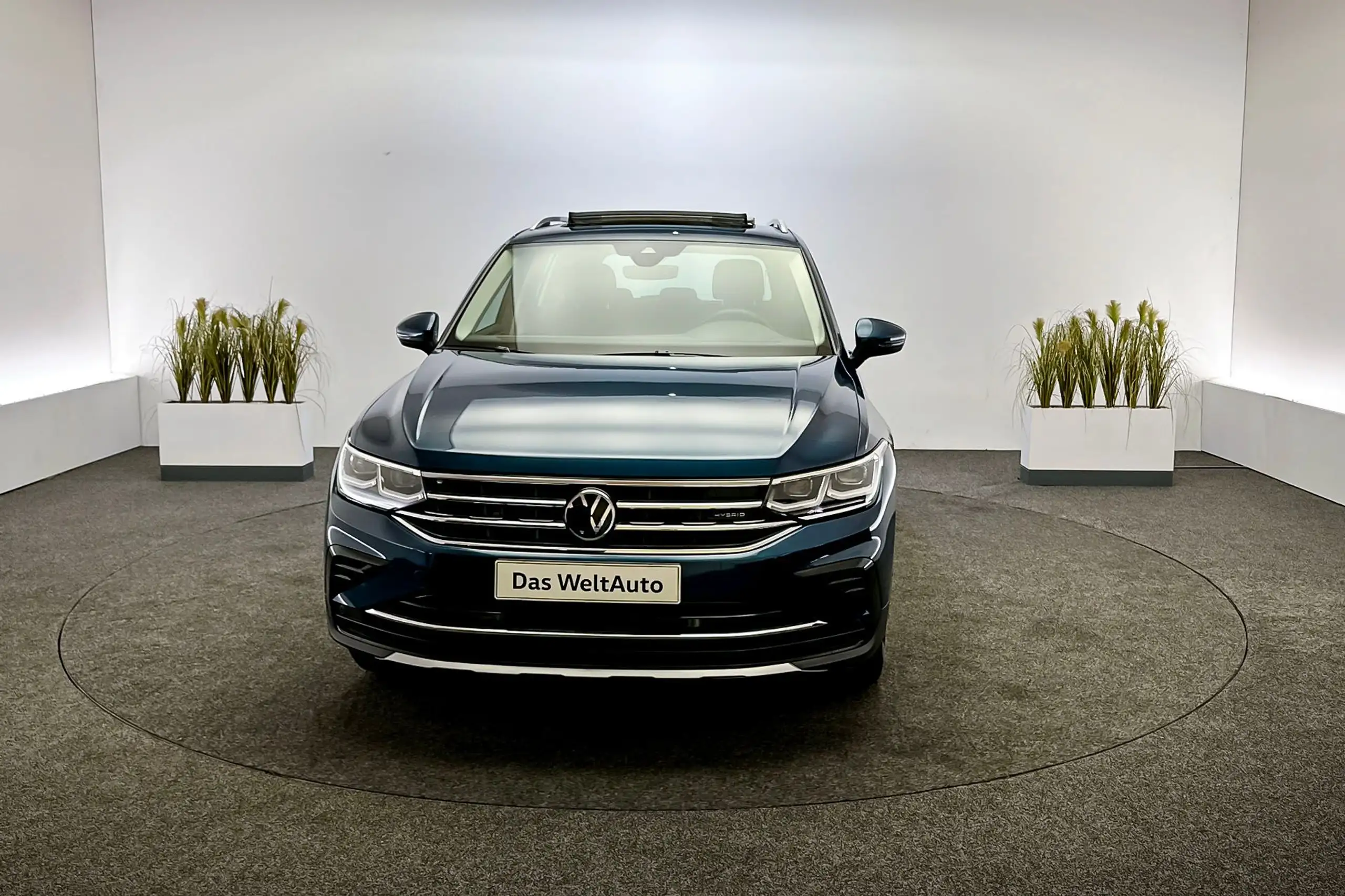 Volkswagen - Tiguan