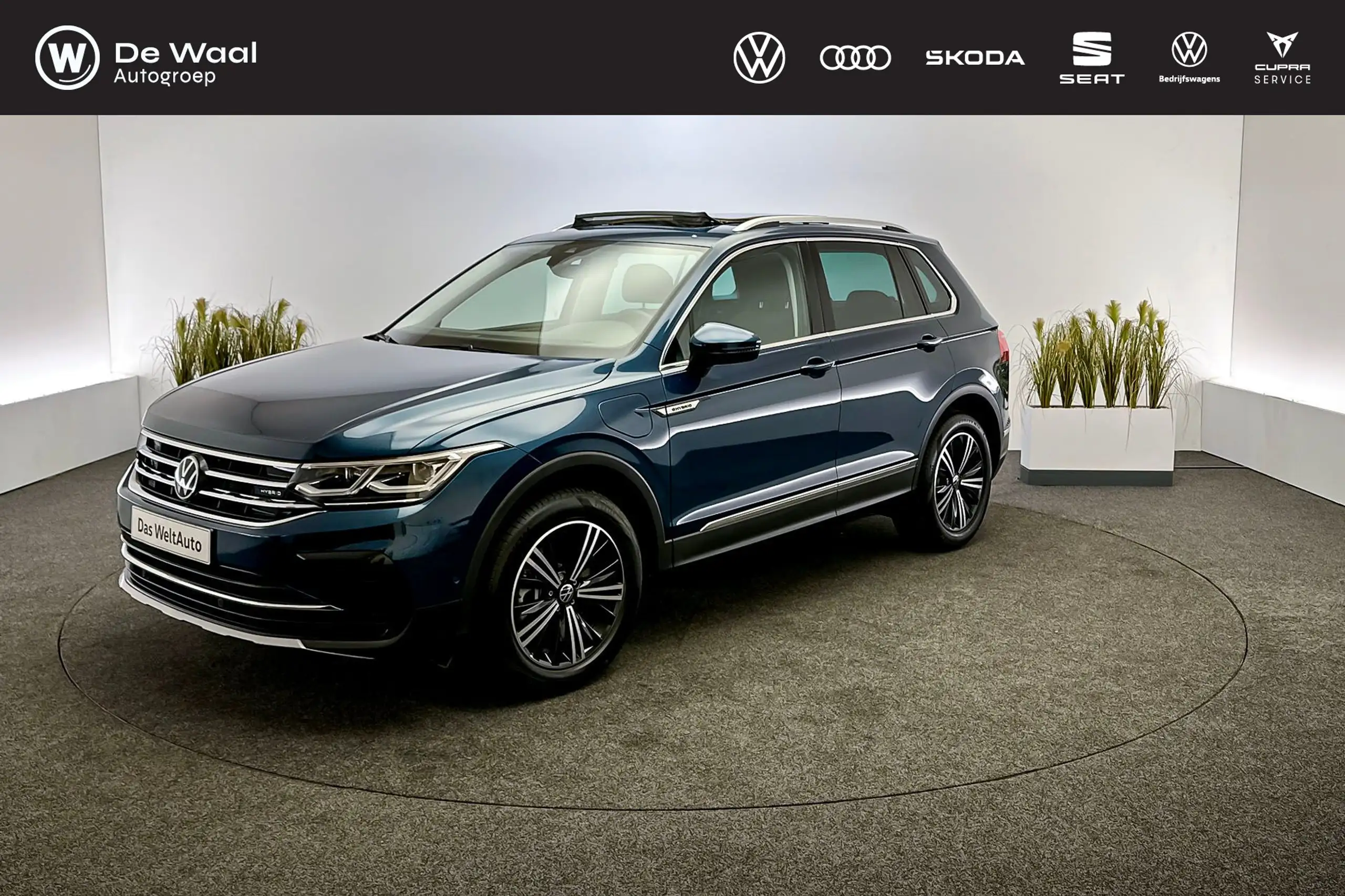 Volkswagen - Tiguan