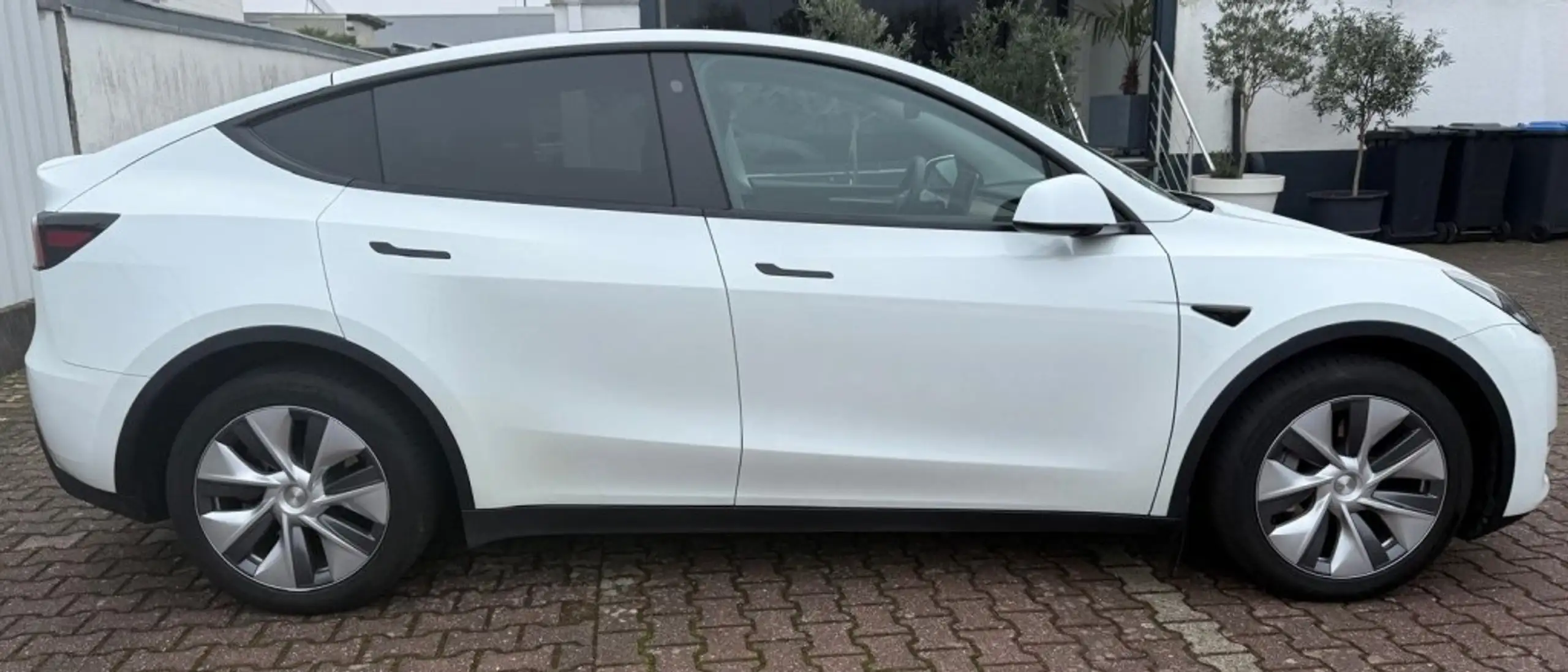 Tesla - Model Y