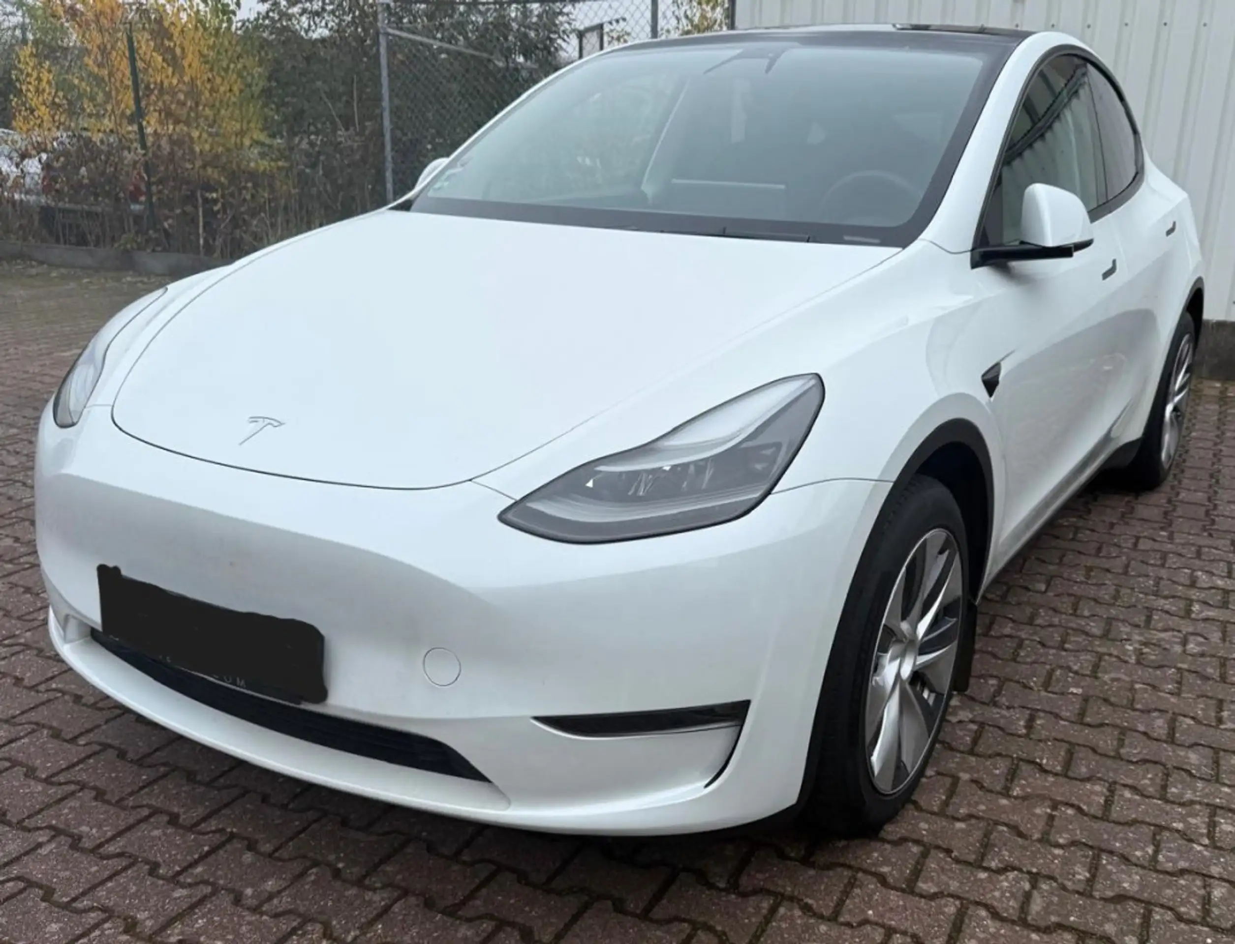 Tesla - Model Y