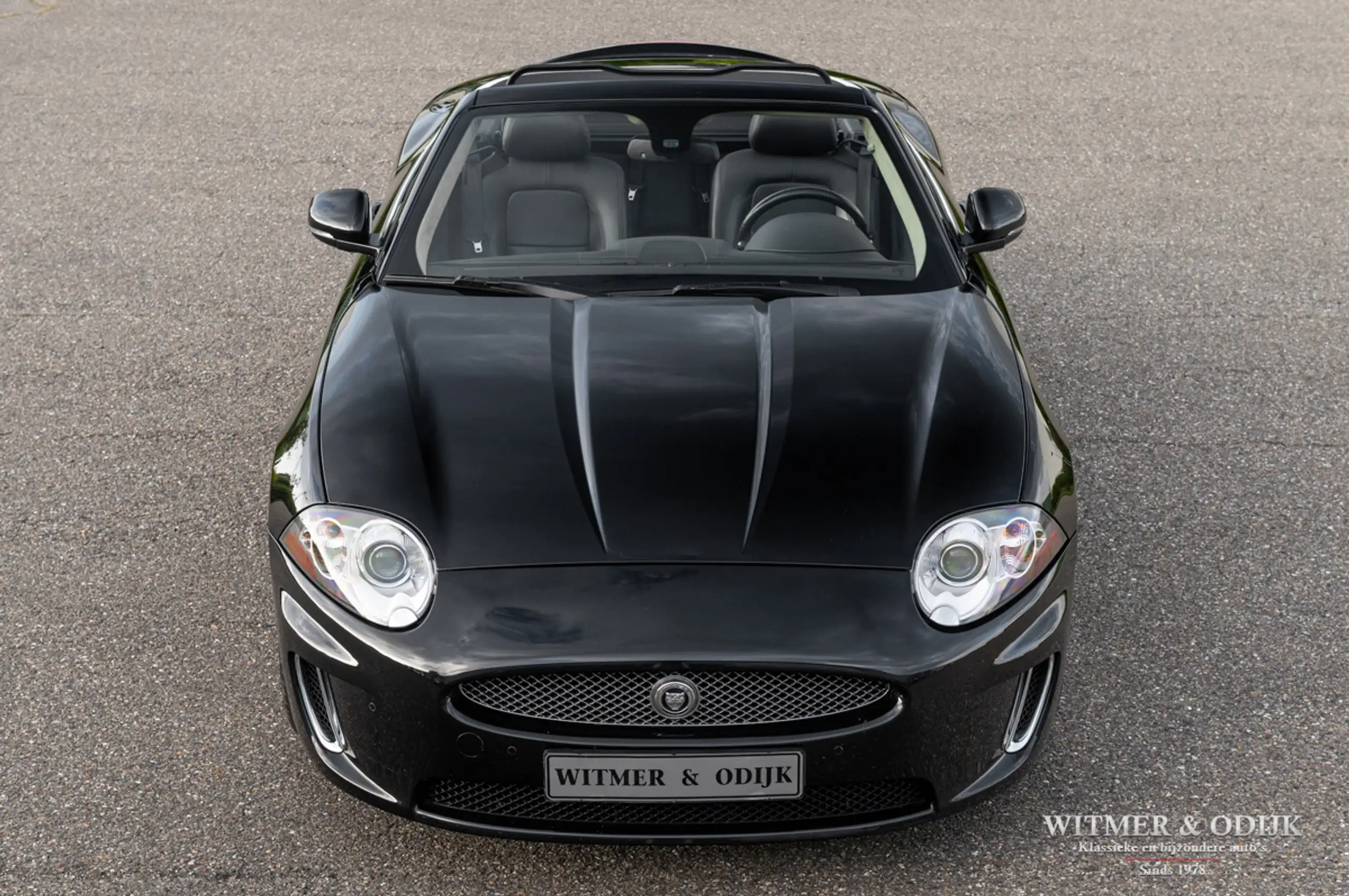 Jaguar - XK