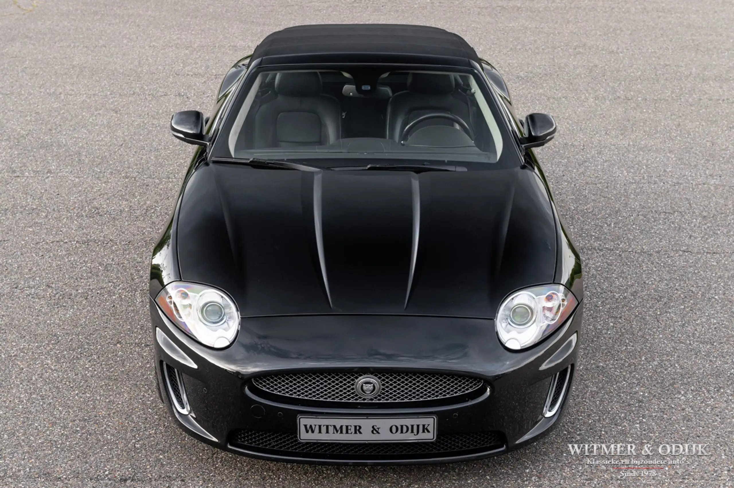 Jaguar - XK