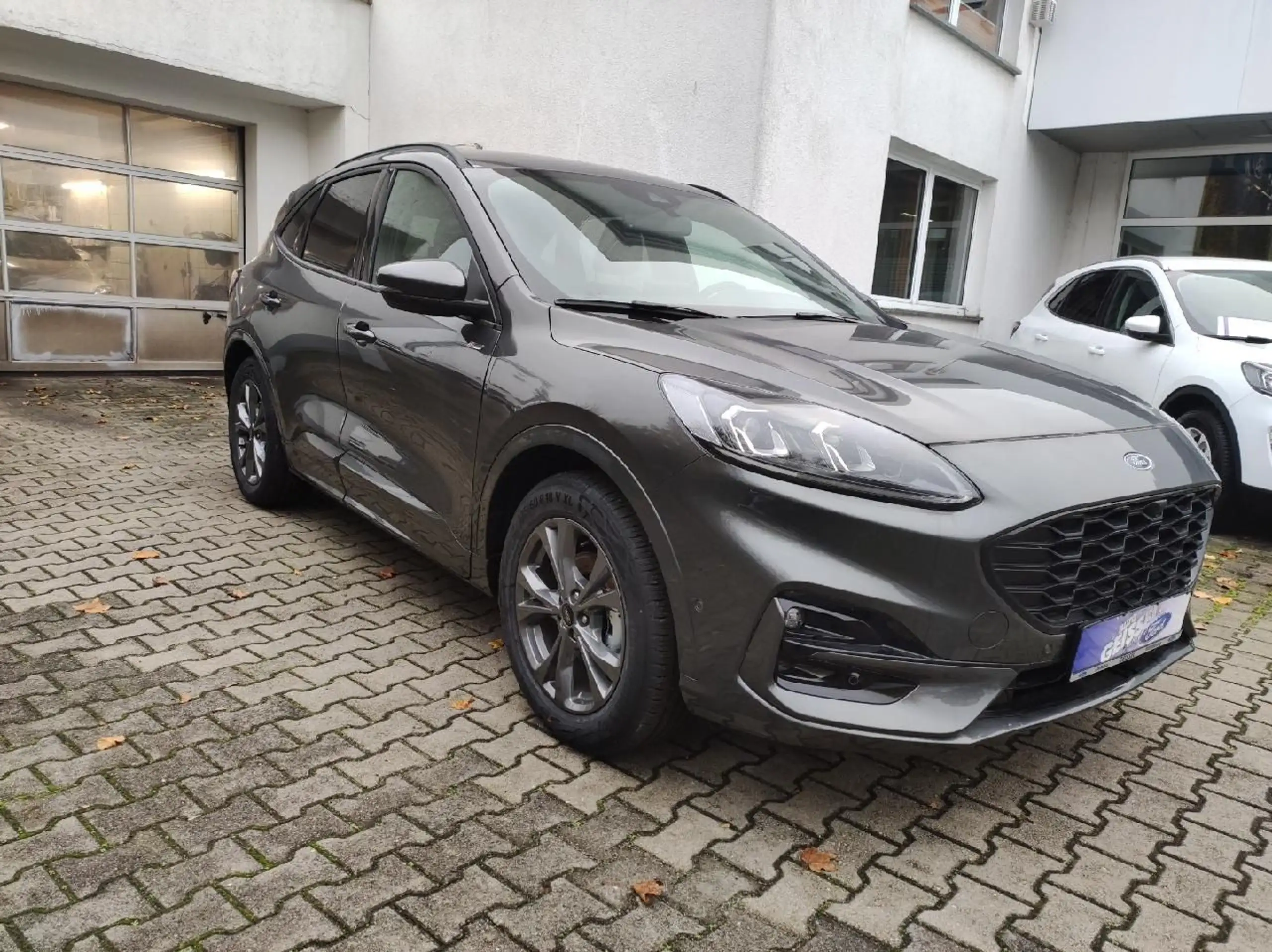 Ford - Kuga