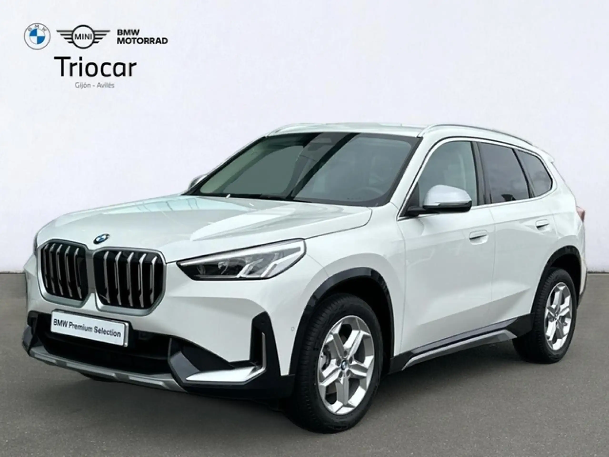 BMW - X1