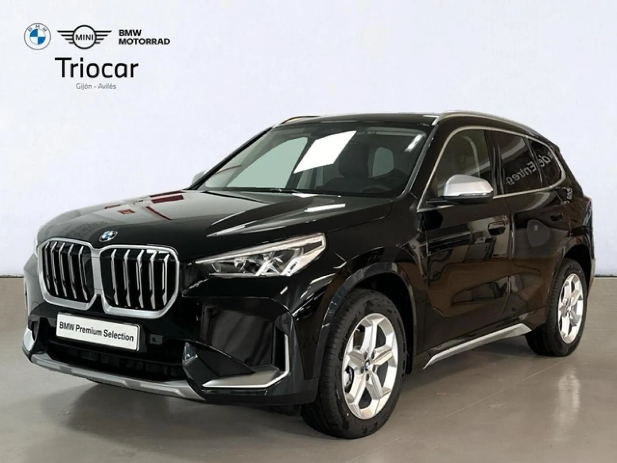 BMW - X1