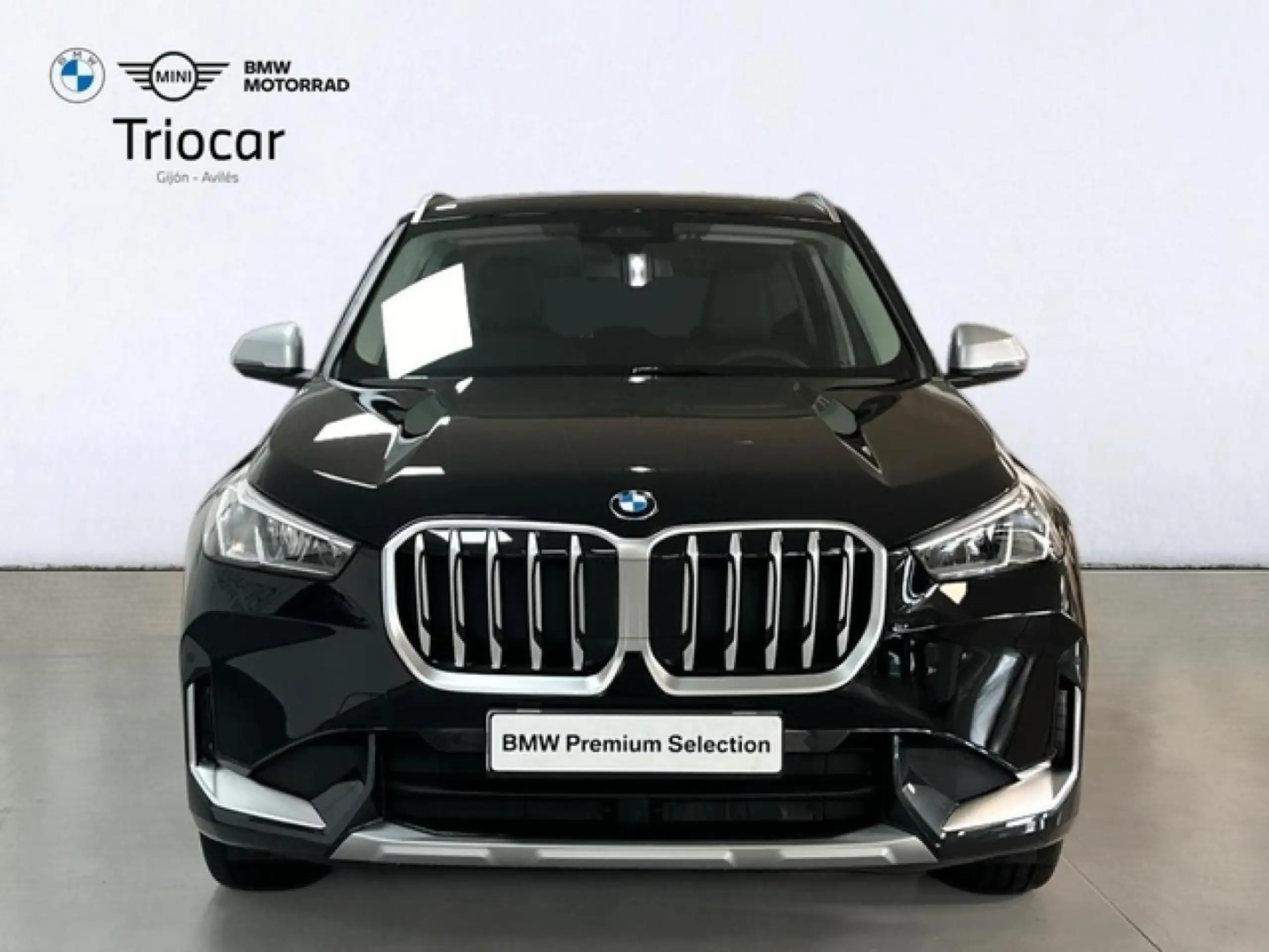 BMW - X1