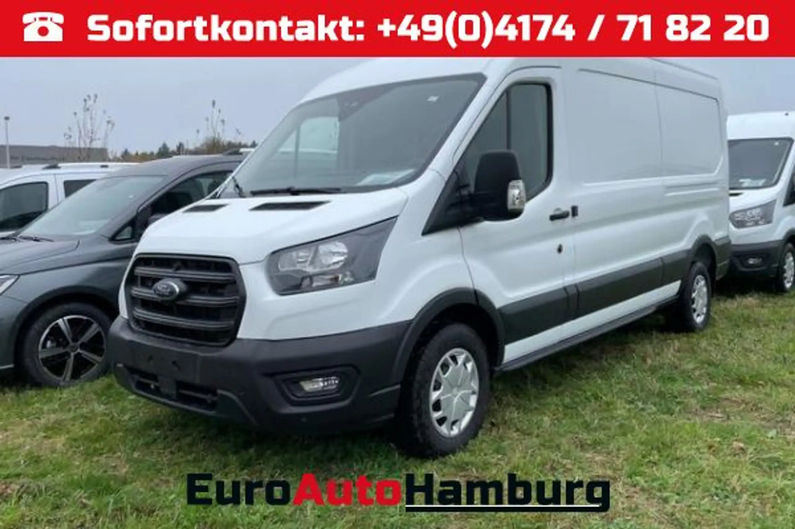 Ford - Transit