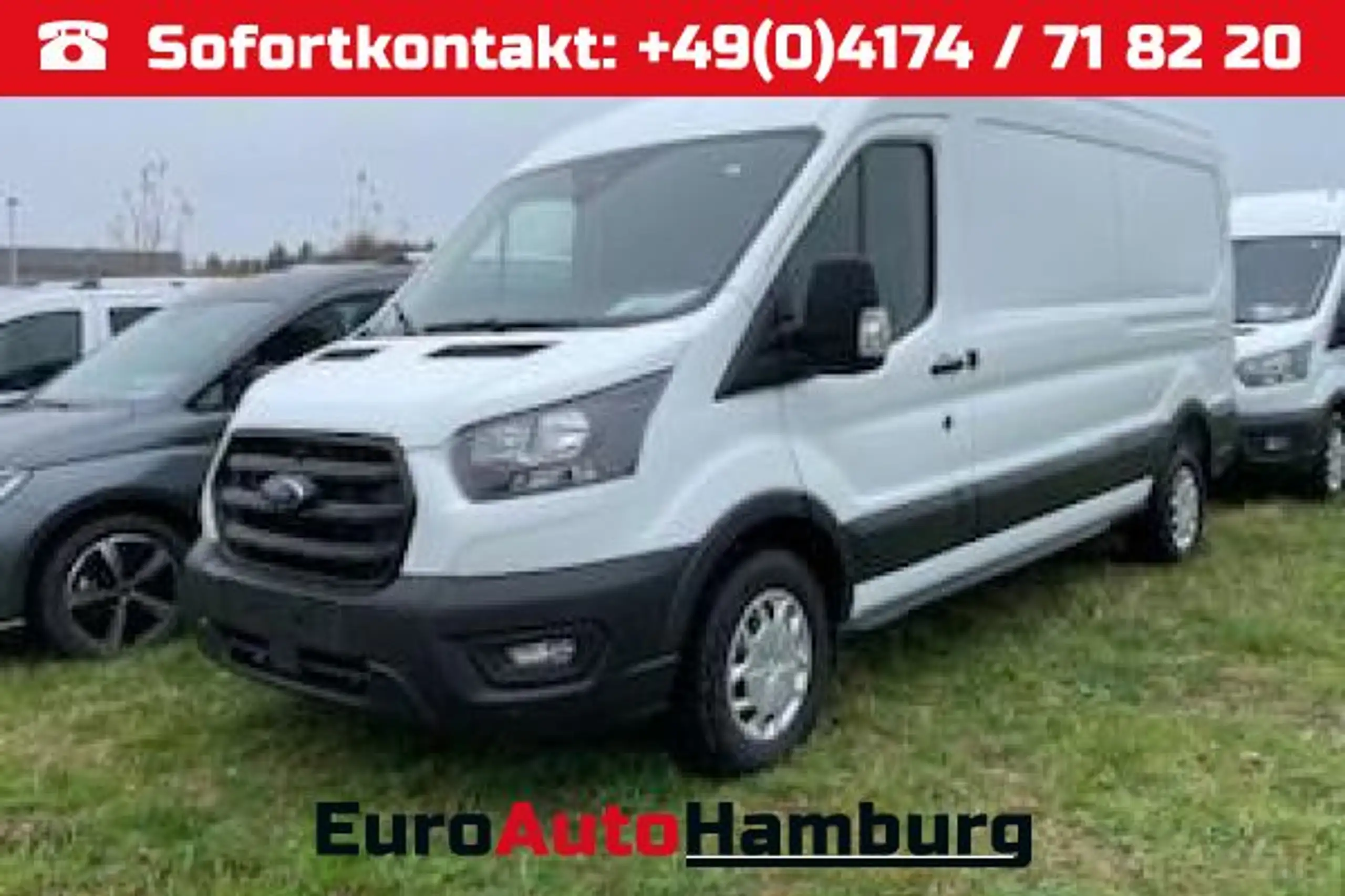 Ford - Transit