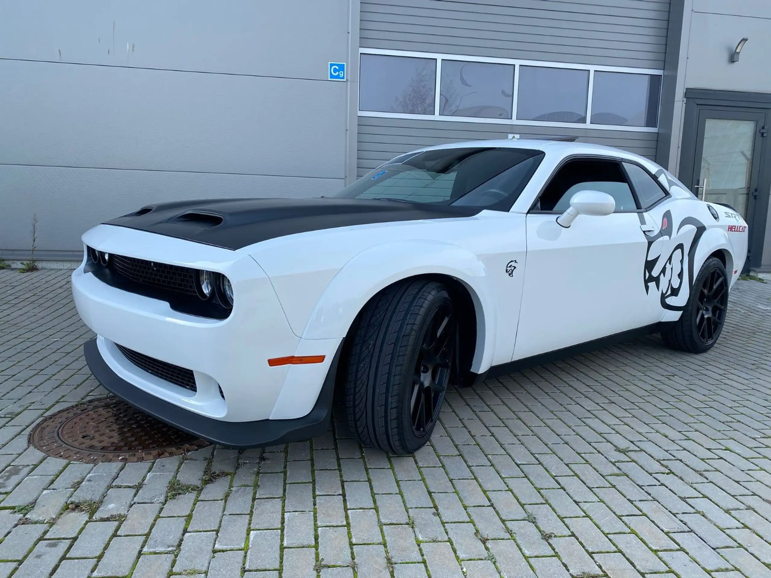 Dodge - Challenger