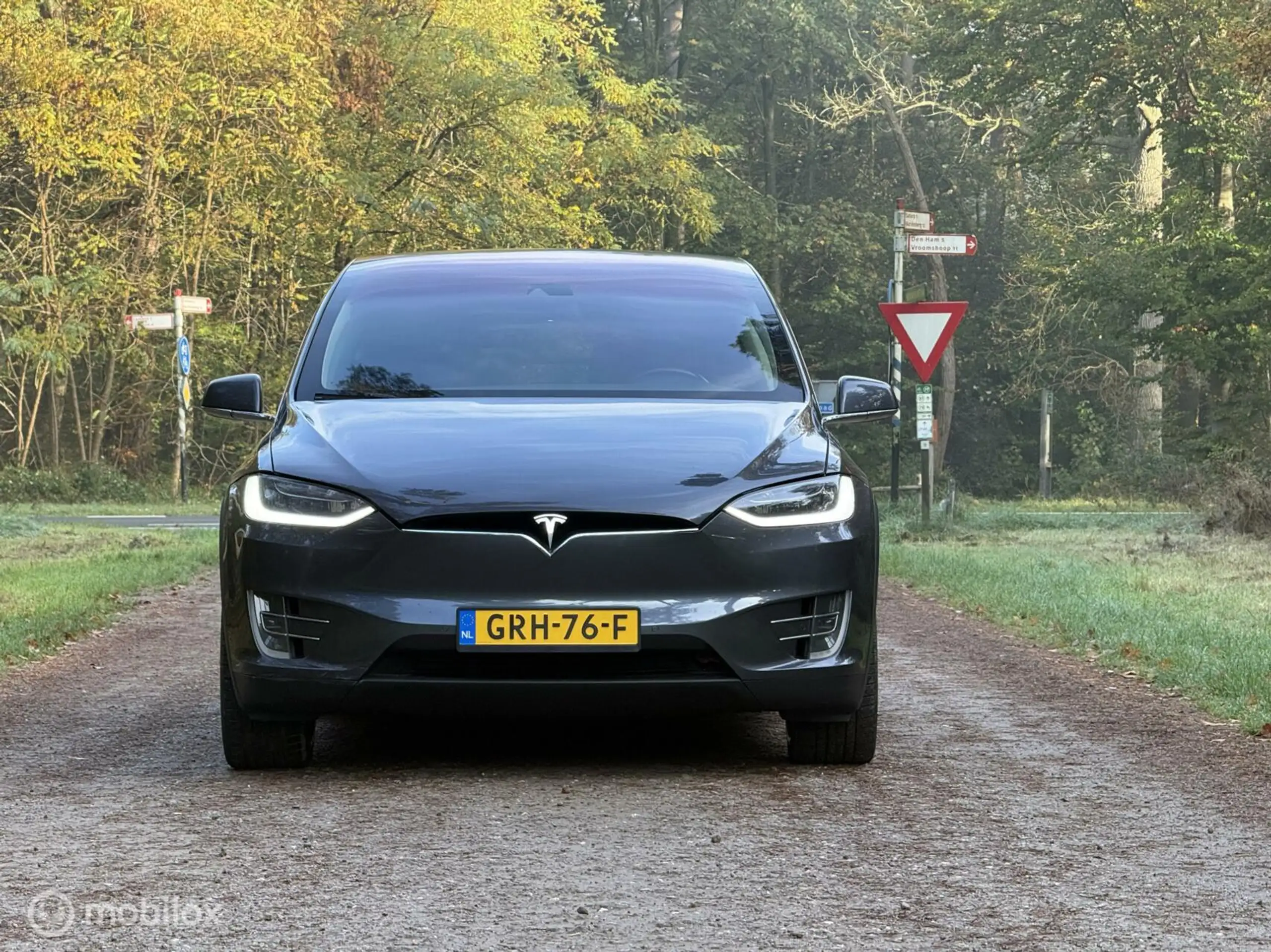 Tesla - Model X