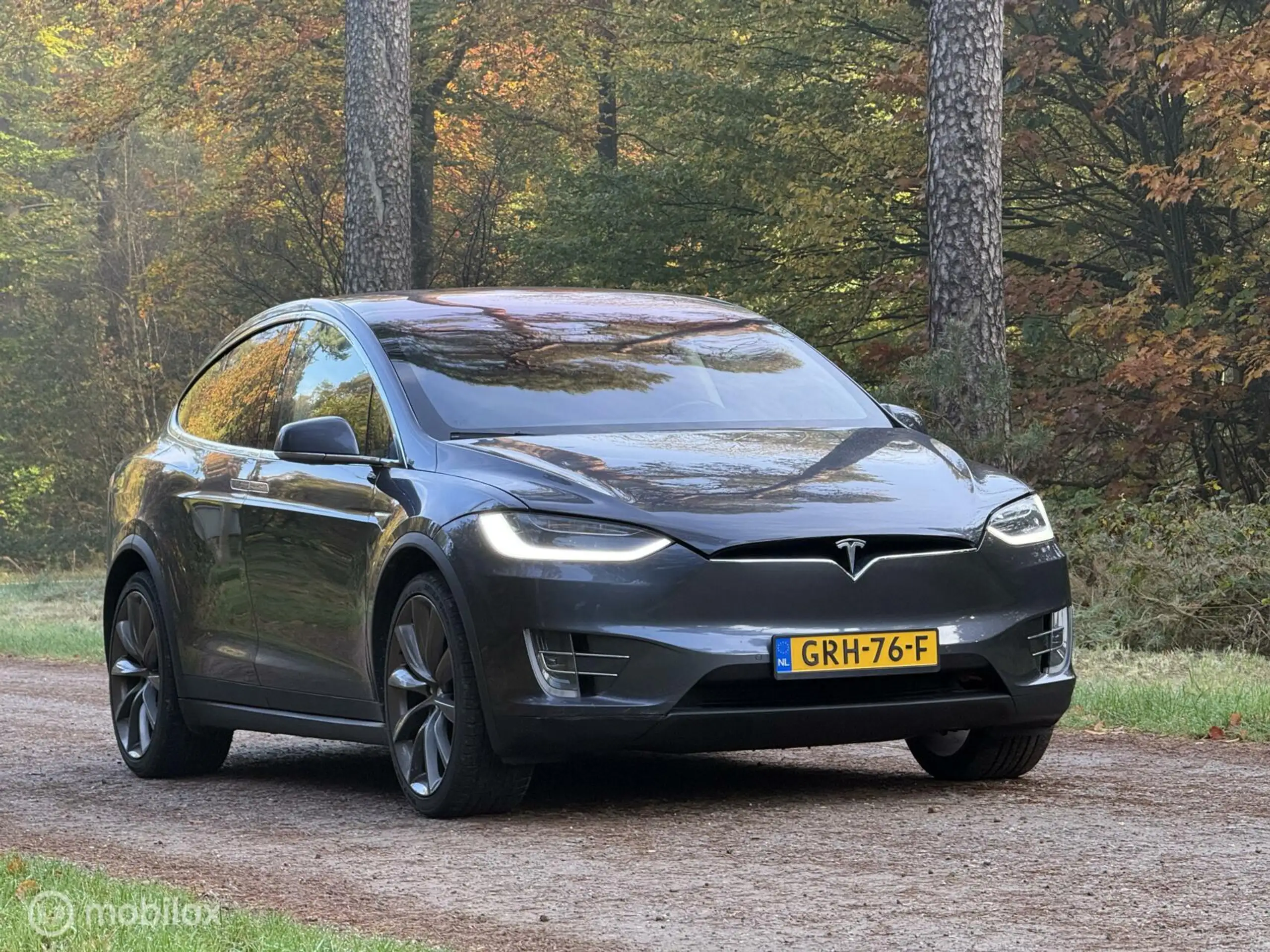 Tesla - Model X